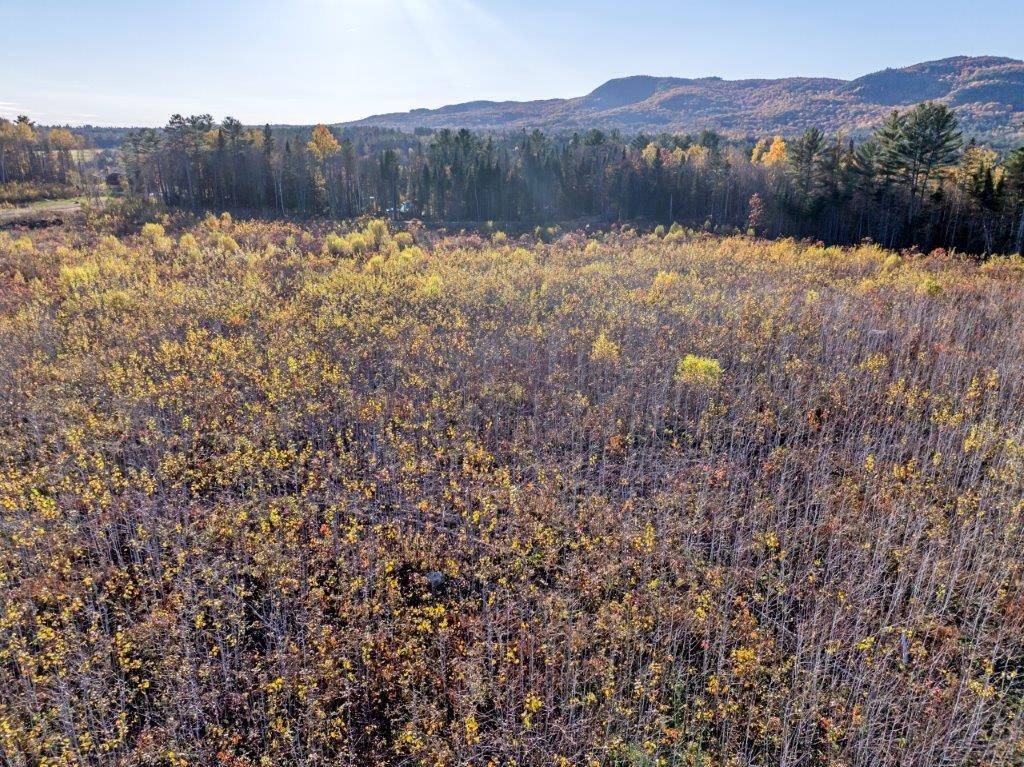 Dalton, NH 03598,Lot 4 McIntyre RD