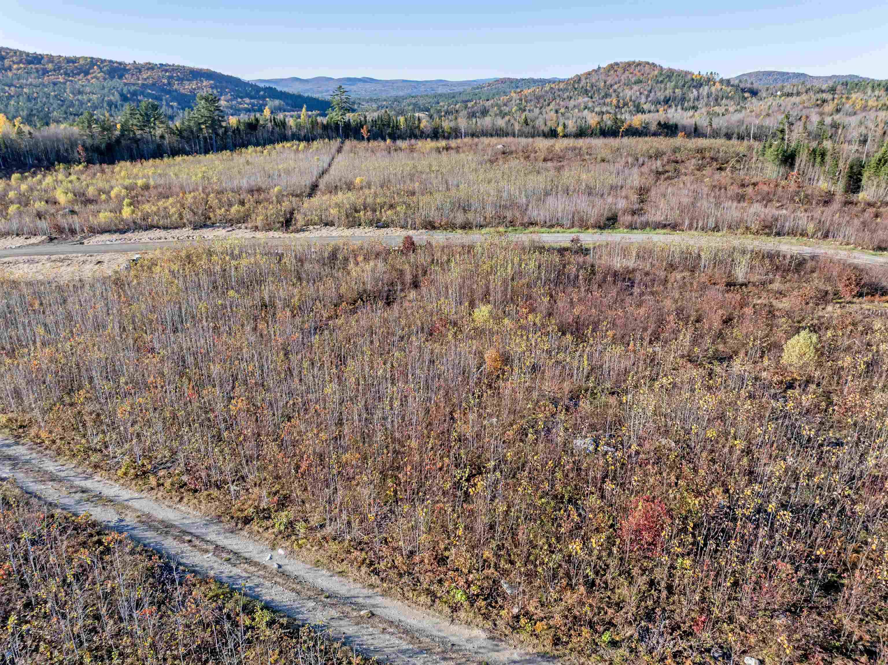 Dalton, NH 03598,Lot 10 McIntyre RD