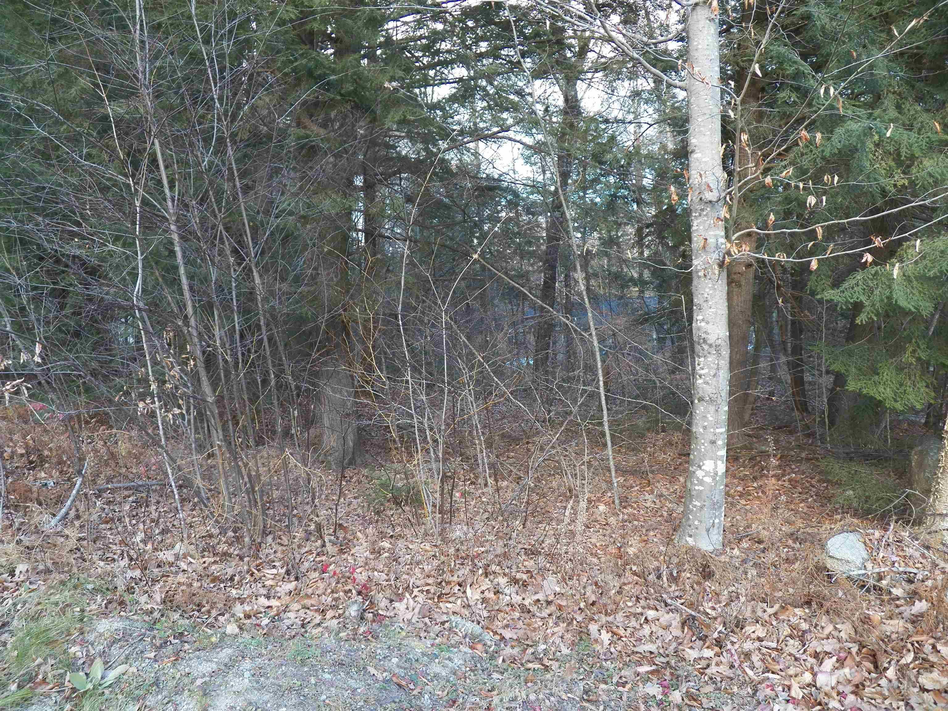 Hillsborough, NH 03244,014-108 Deerpoint DR