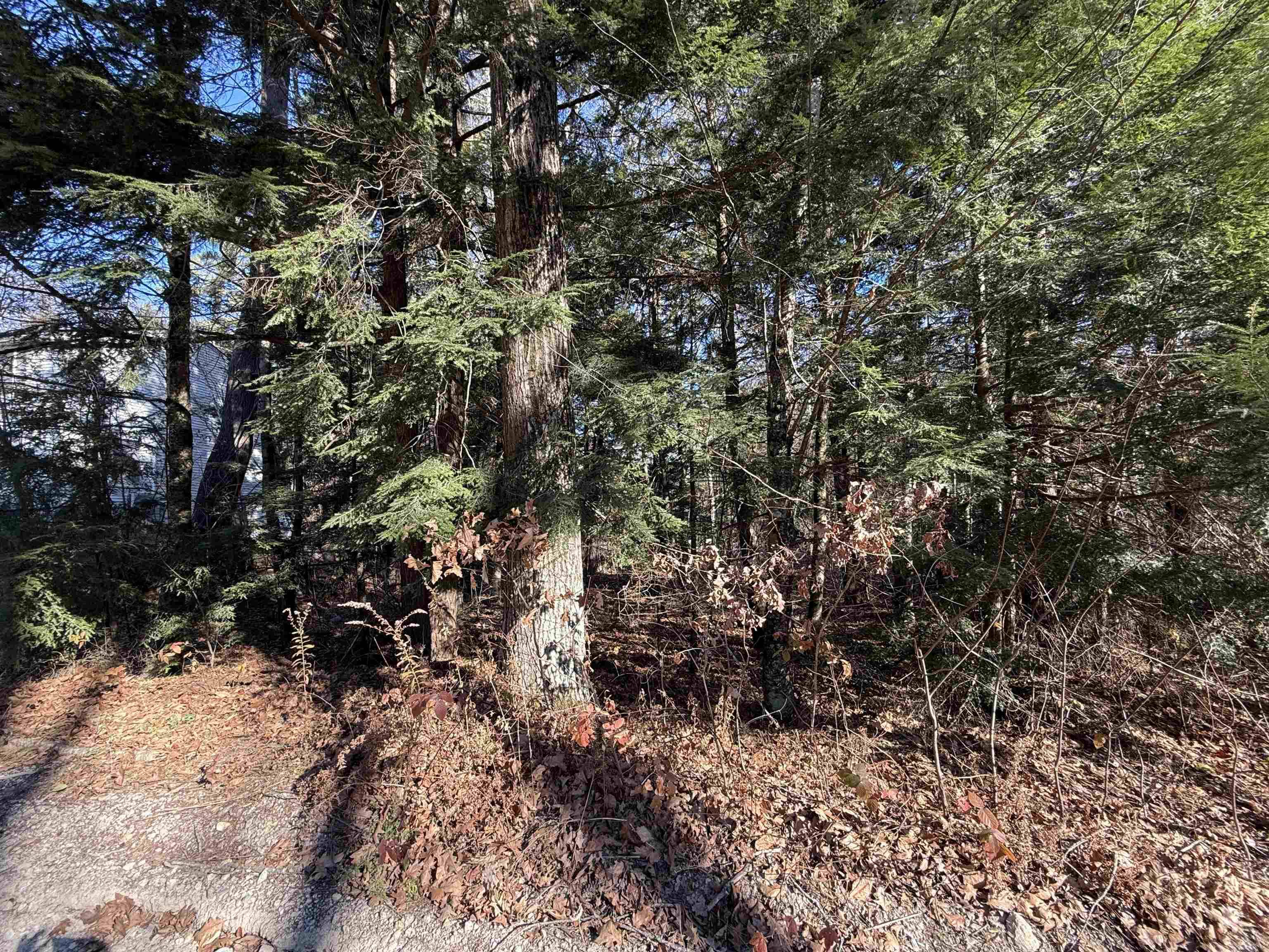 Hillsborough, NH 03244,014-102 Deerpoint DR