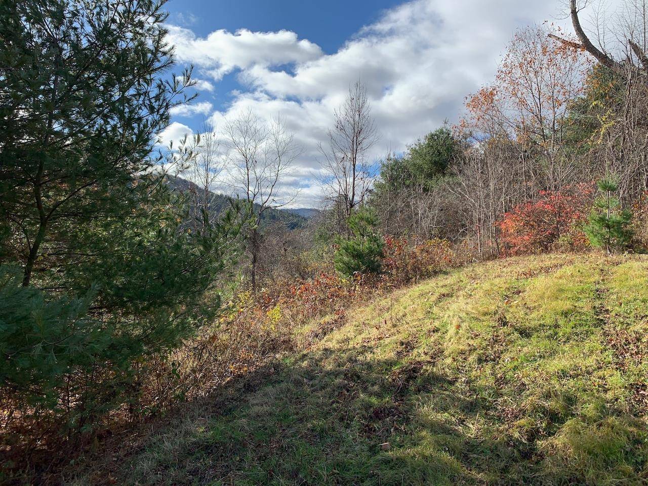 Bethel, VT 05032,Lot 1 Peavine BLVD #lot 1