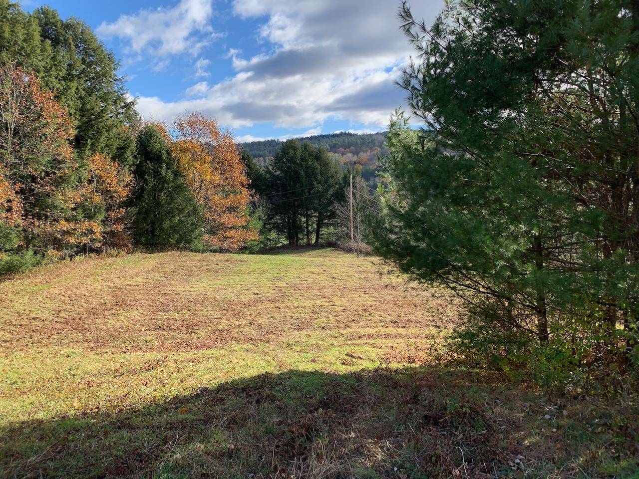 Bethel, VT 05032,Lot 1 Peavine BLVD #lot 1