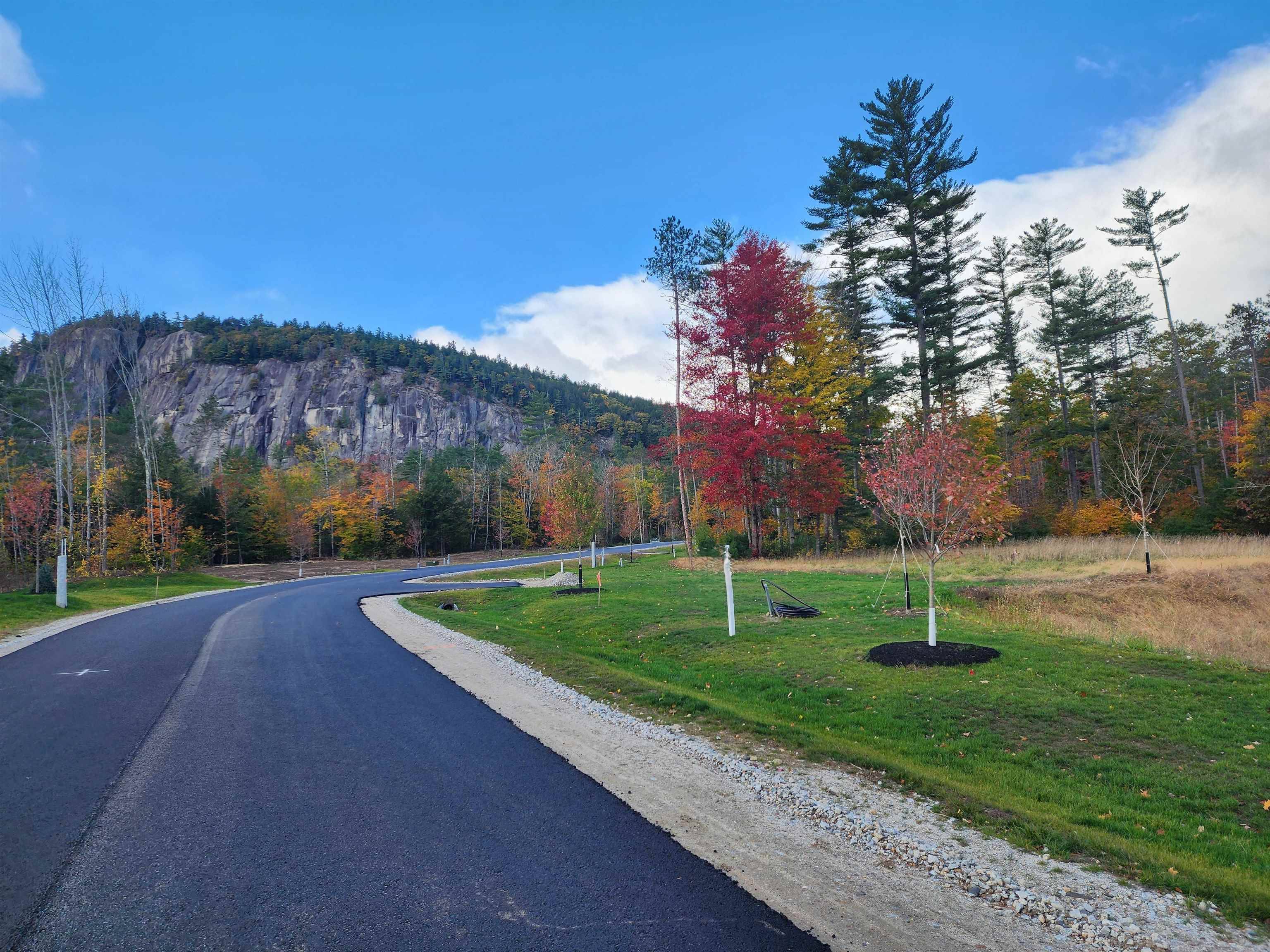 Conway, NH 03860,2 Lucy Brook RD