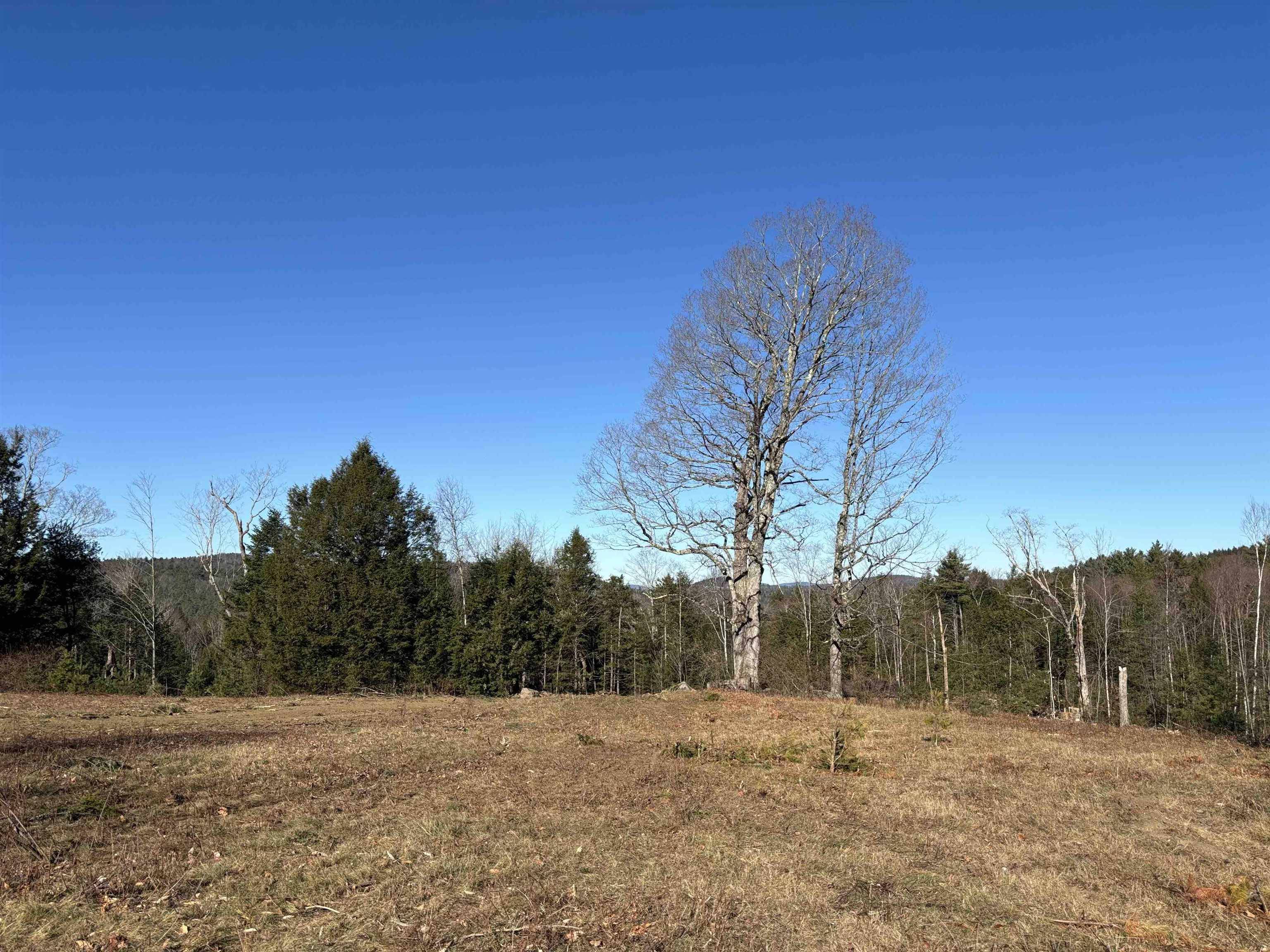 Goshen, NH 03752,Lot 11-5 Ball Park RD