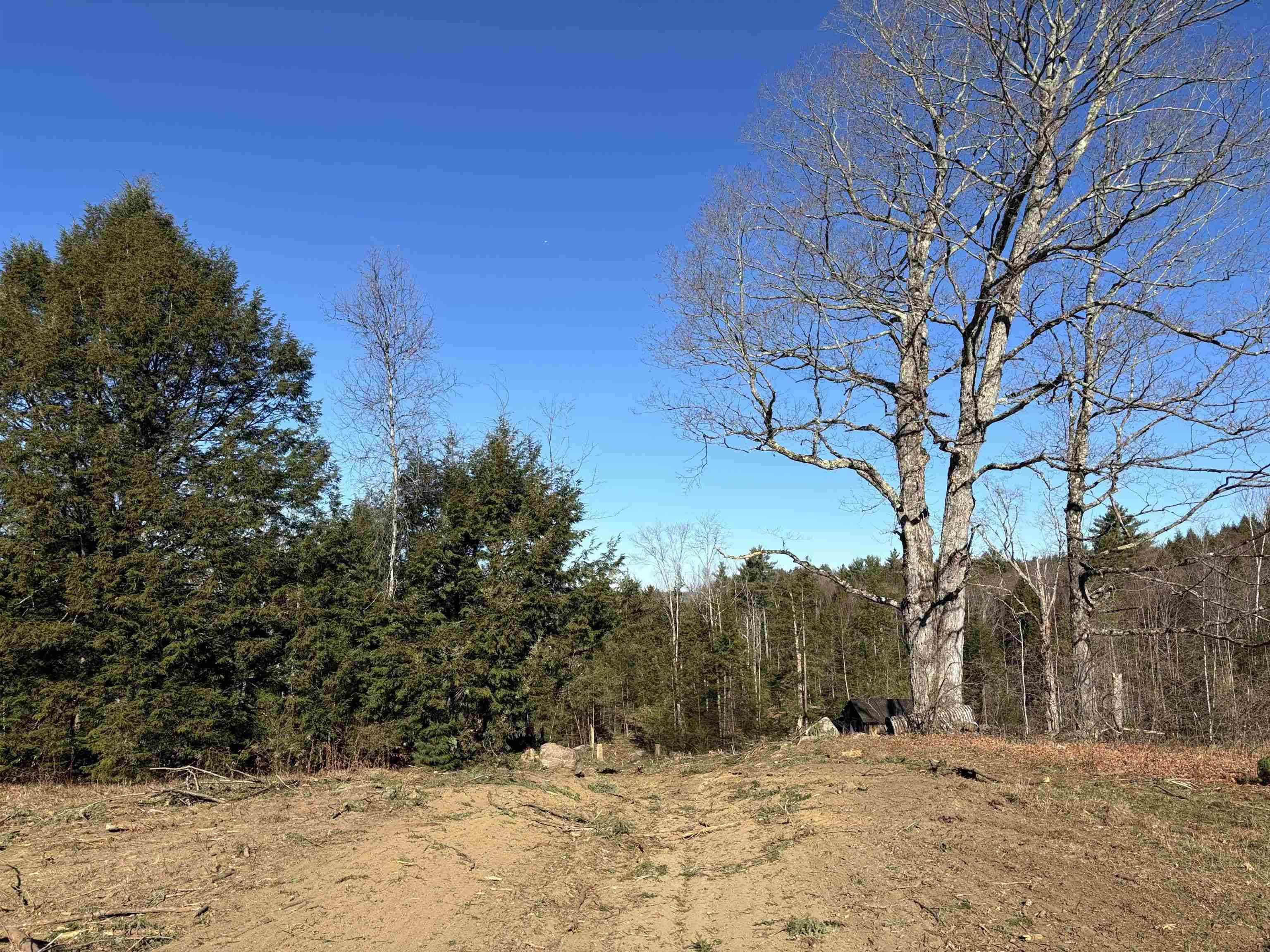 Goshen, NH 03752,Lot 11-5 Ball Park RD
