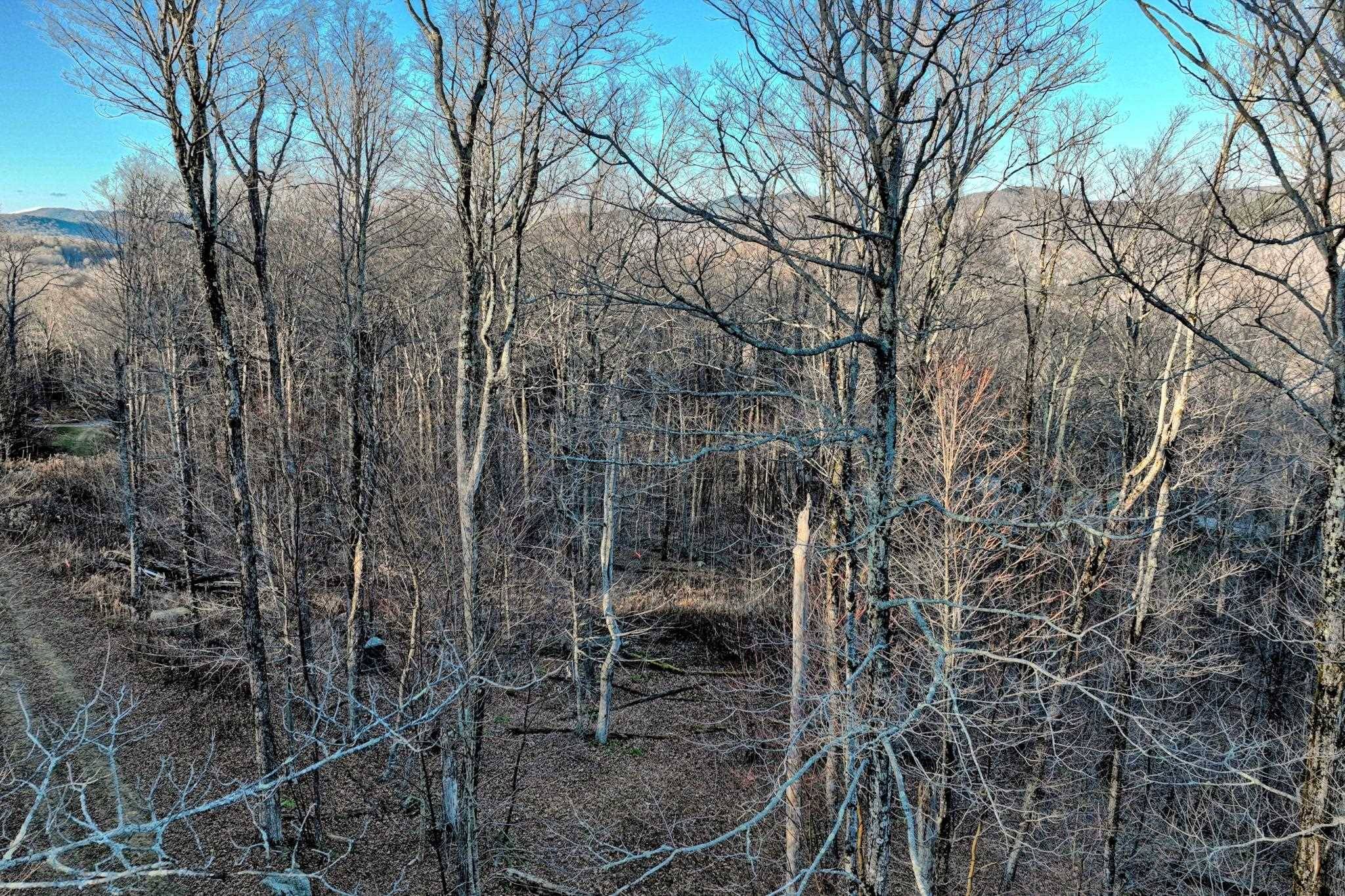 430 Lower Rebecca LN #Lot 3 Killington, VT 05751