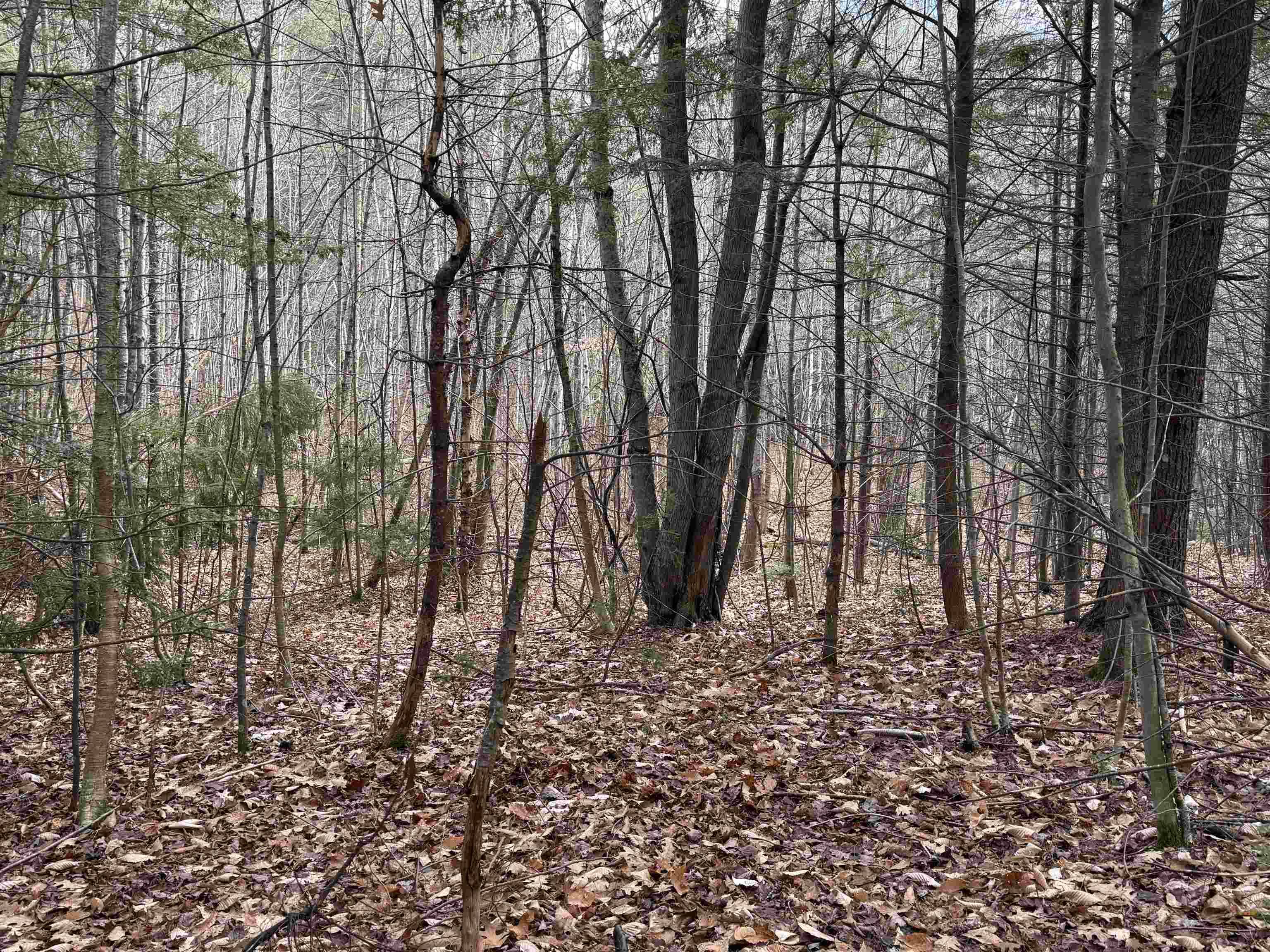 Ossipee, NH 03864,190 Circuit RD