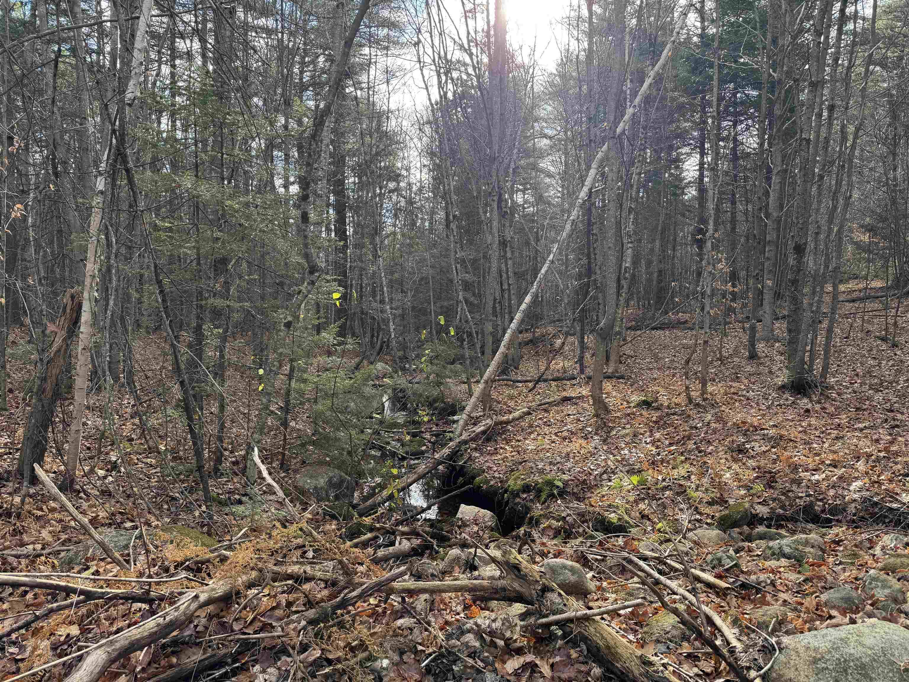 Ossipee, NH 03864,190 Circuit RD