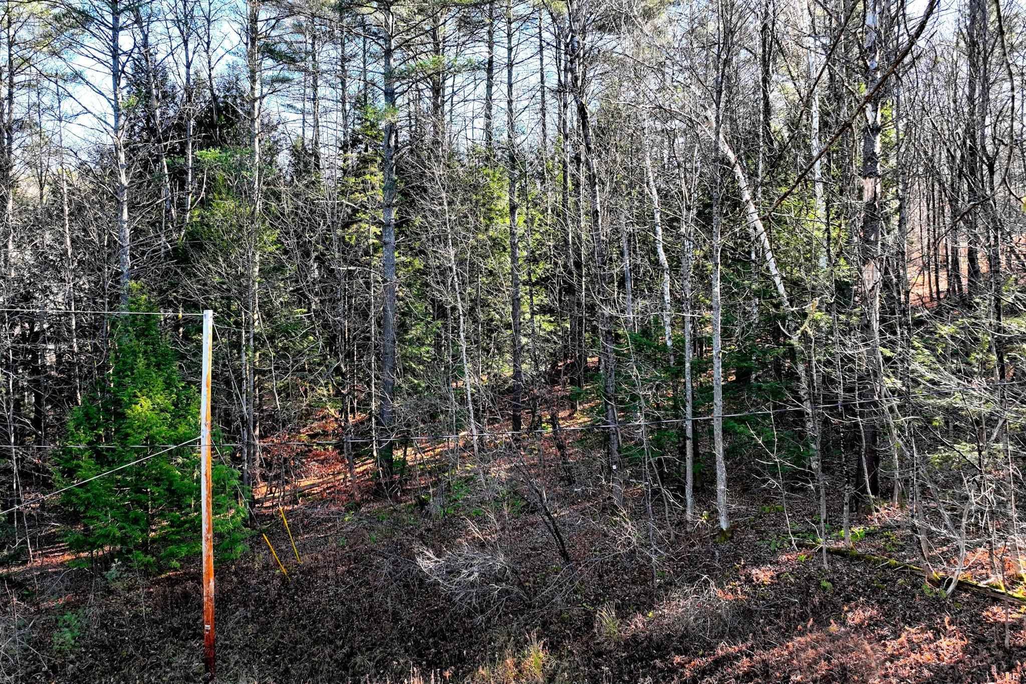 Ludlow, VT 05149,00 Partridge RD #52