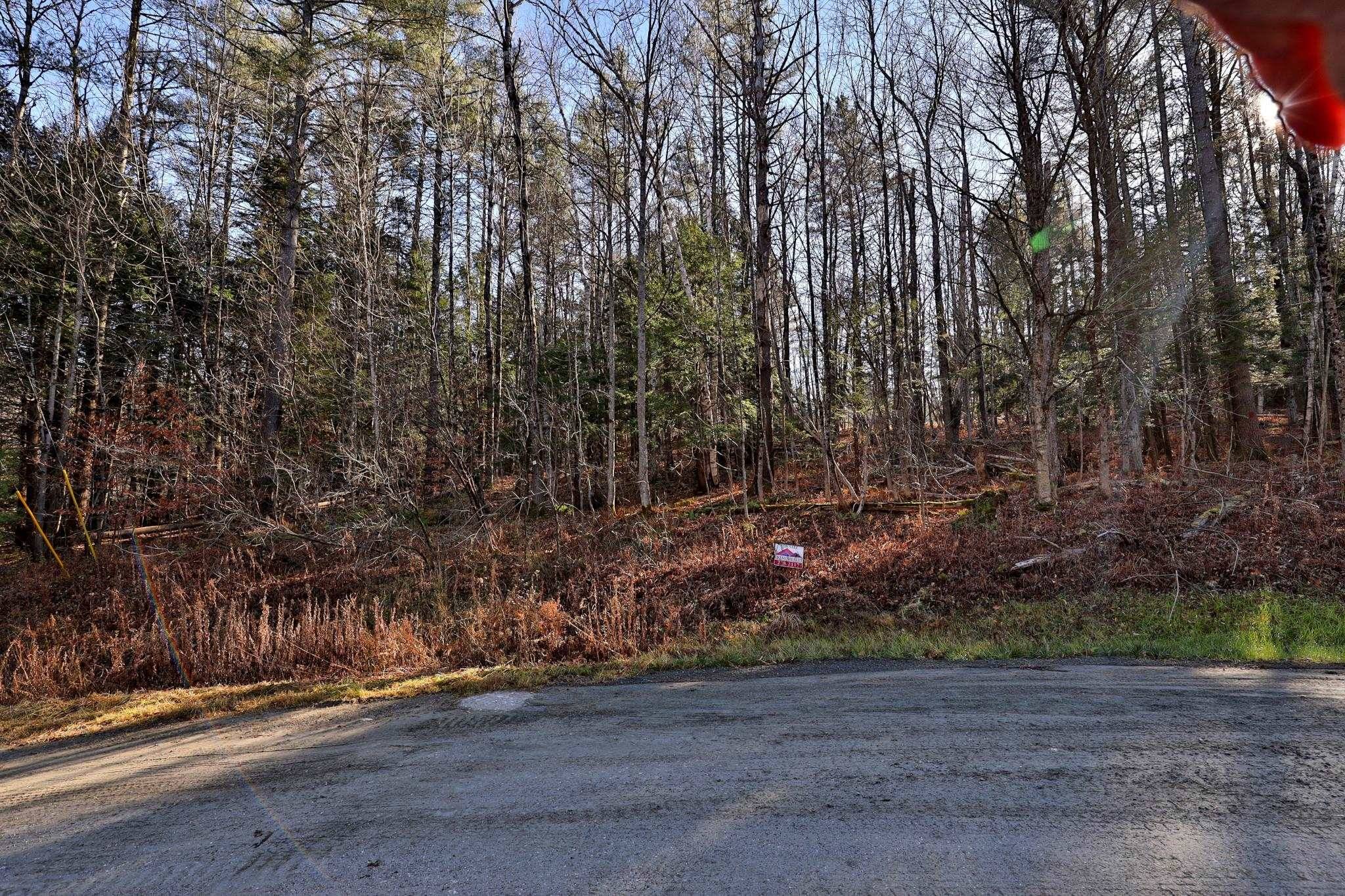 Ludlow, VT 05149,00 Partridge RD #52
