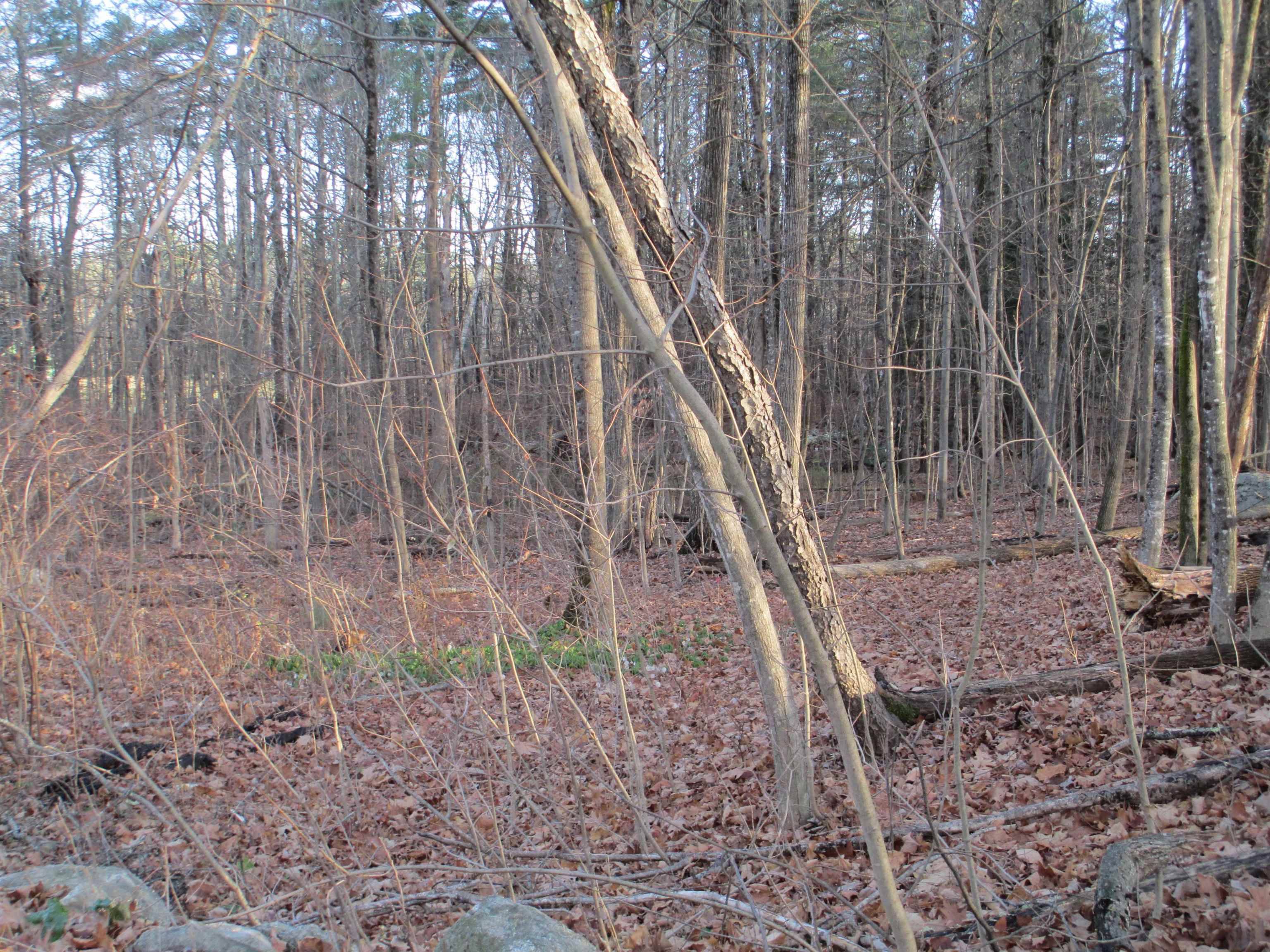 Mont Vernon, NH 03057,2-47 Old Amherst RD
