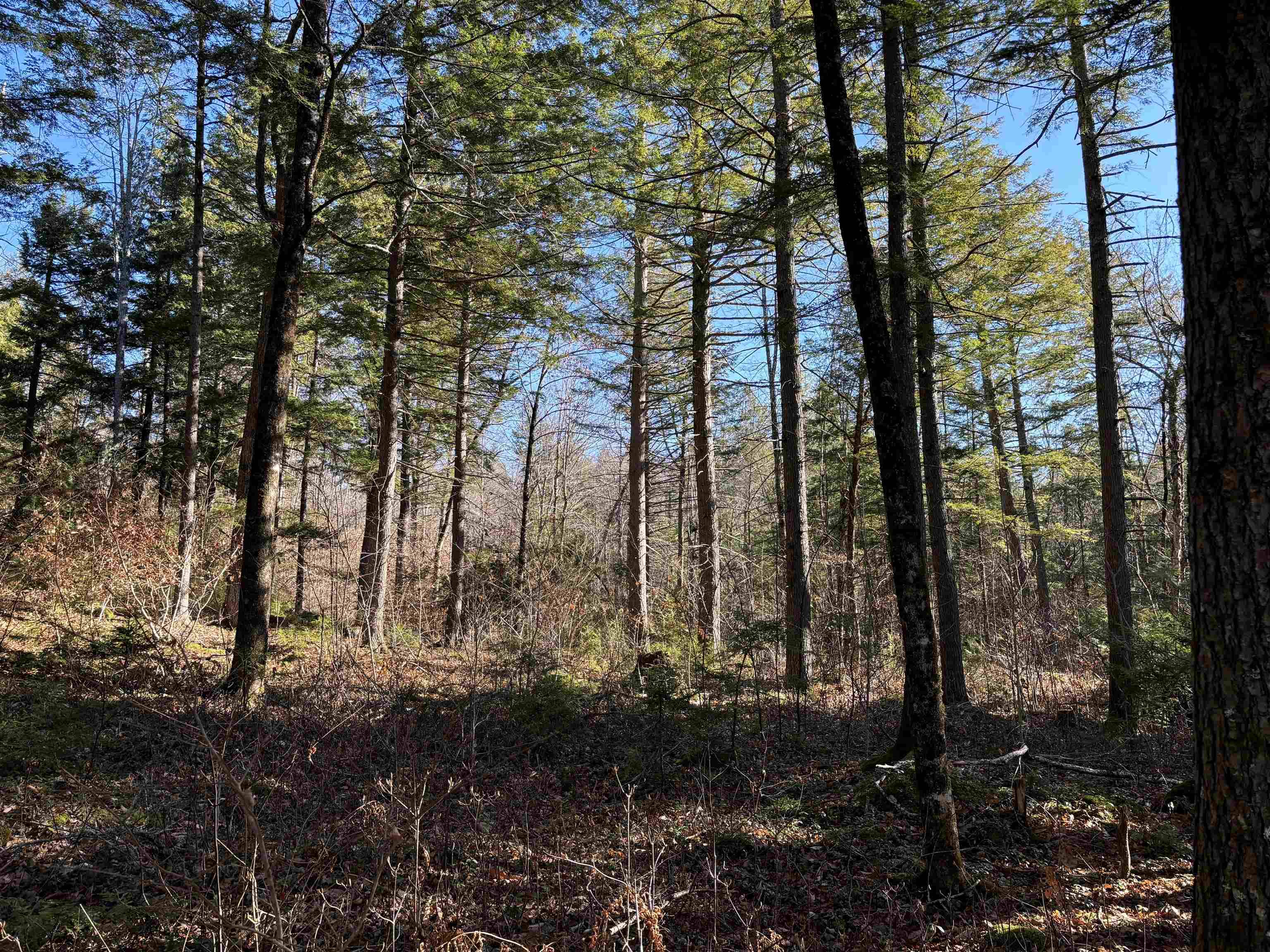 Tamworth, NH 03886,481 Chocorua Mountain HWY