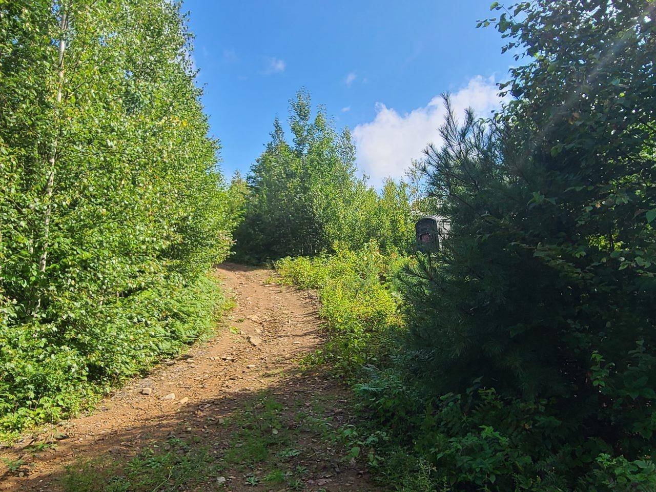 Greensboro, VT 05843,1501 Eligo Lake RD