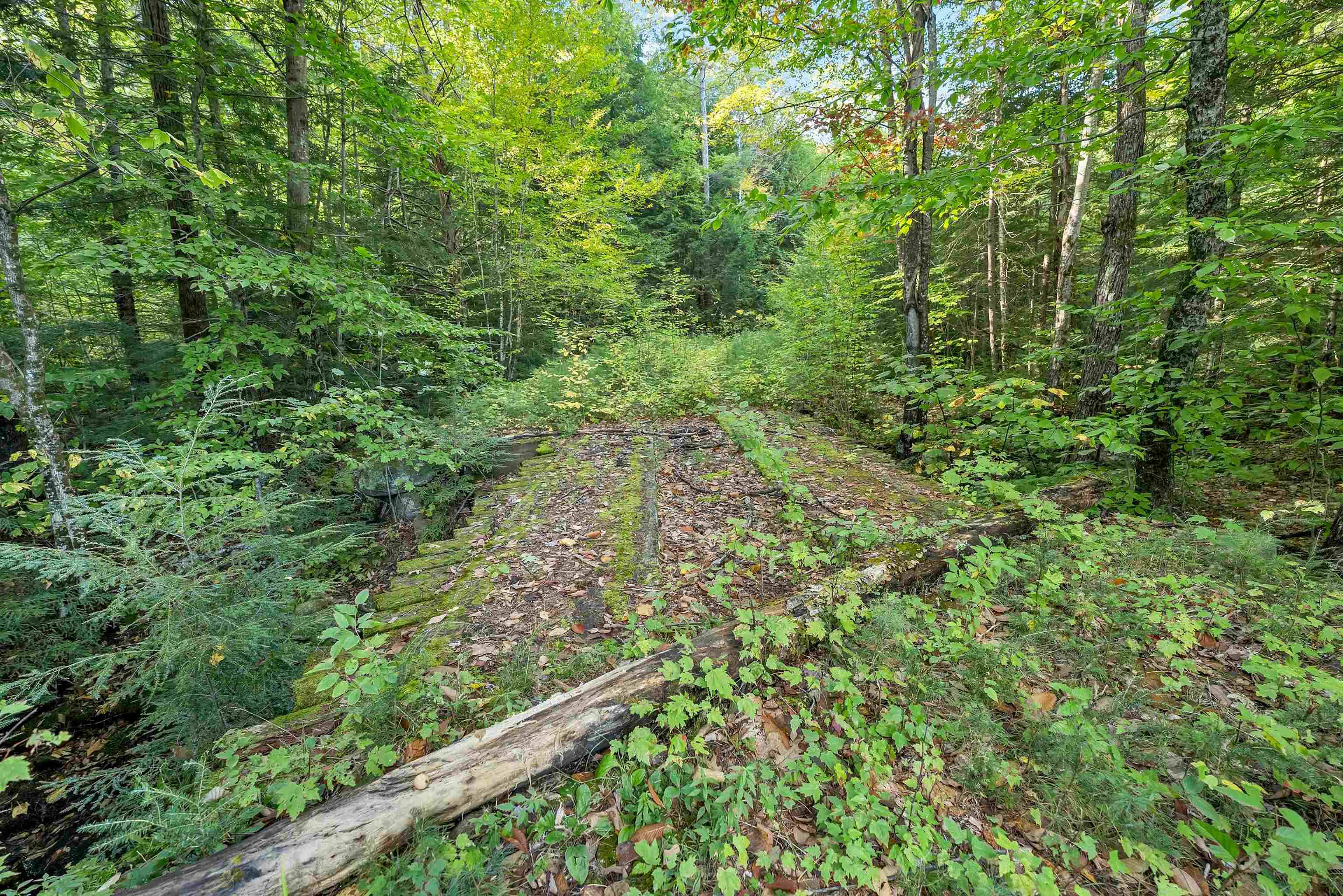 Danbury, NH 03230,0 Forbes Mountain RD #24
