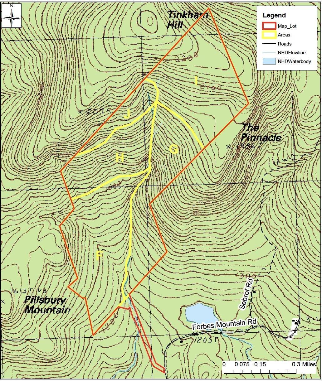 Danbury, NH 03230,0 Forbes Mountain RD #24