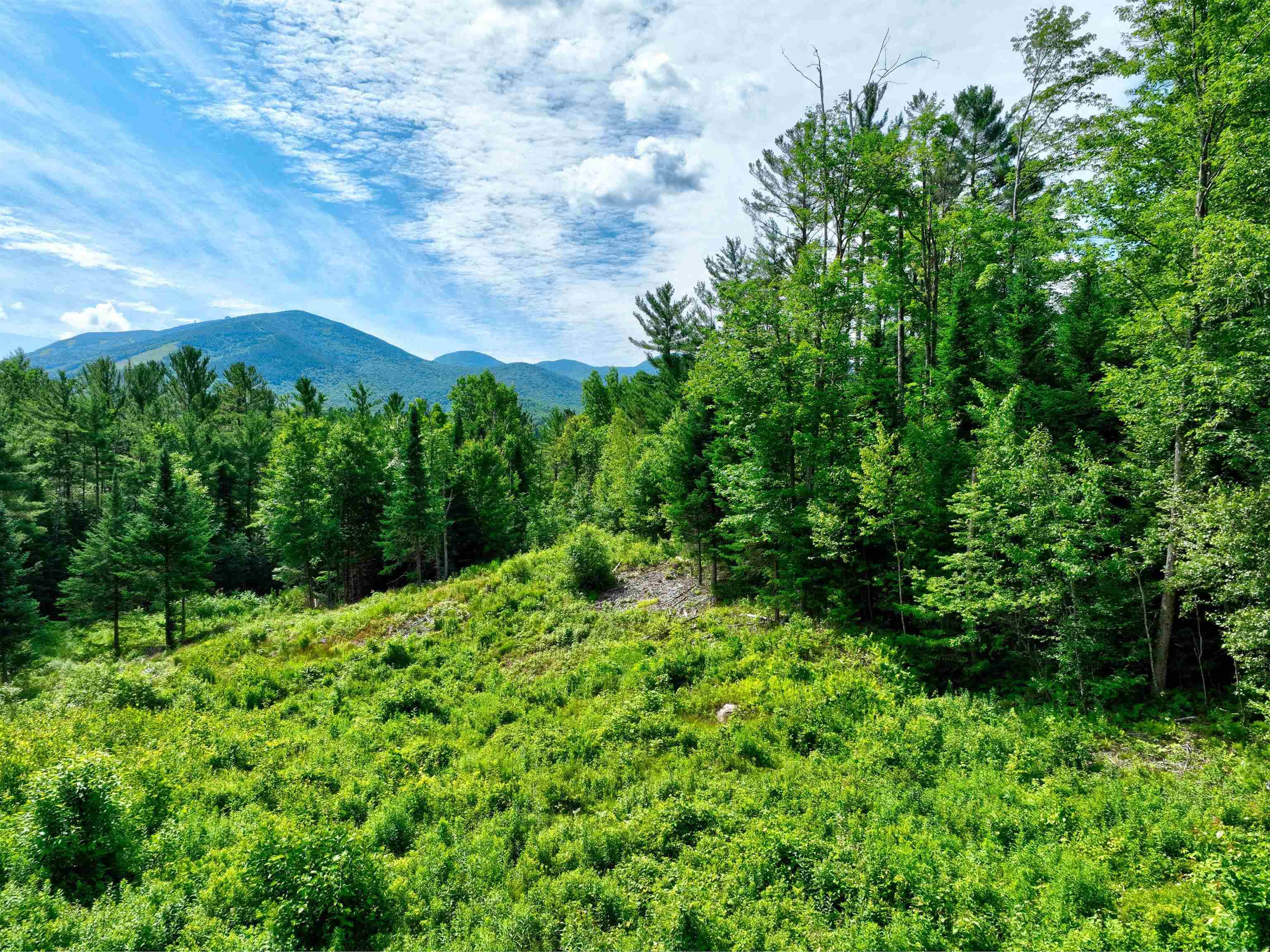 Franconia, NH 03580,00 Morristown RD ##15