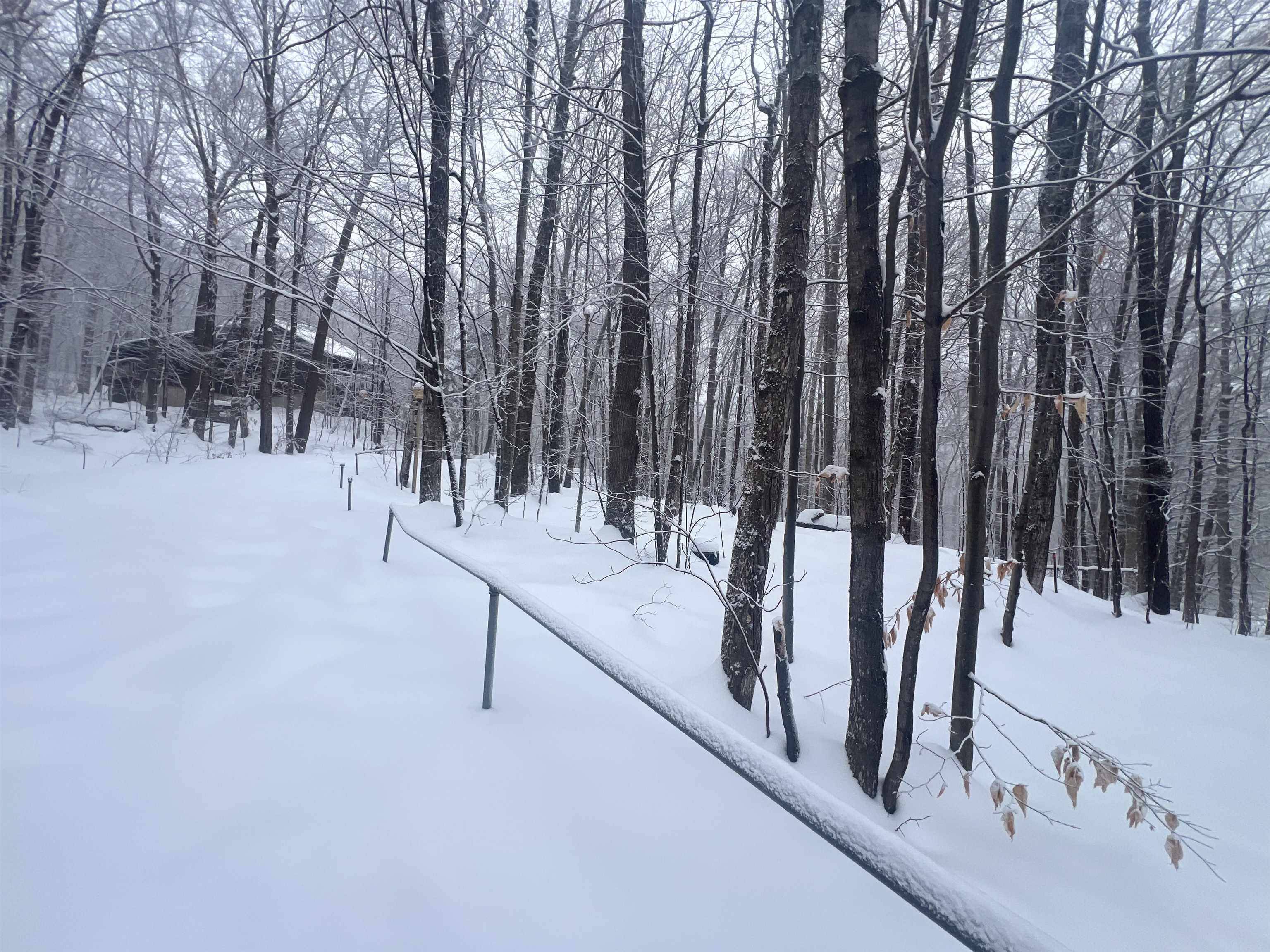 Ludlow, VT 05149,115 Rimrock RD