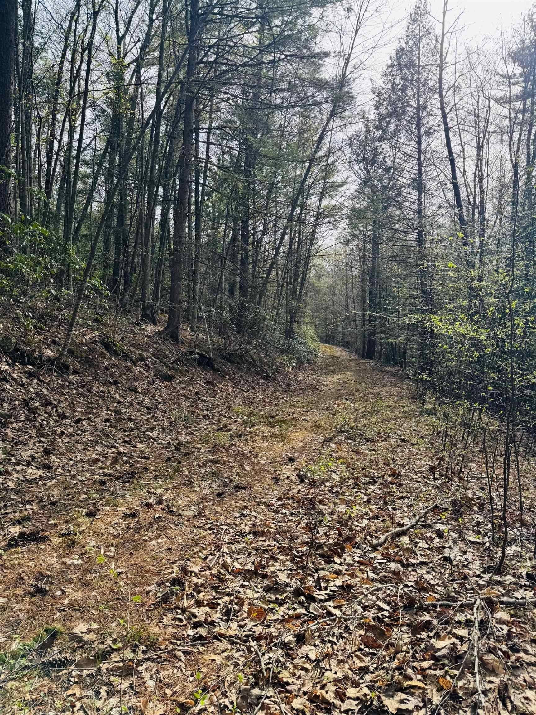 Wilton, NH 03086,Lot F-84 McGettigan RD
