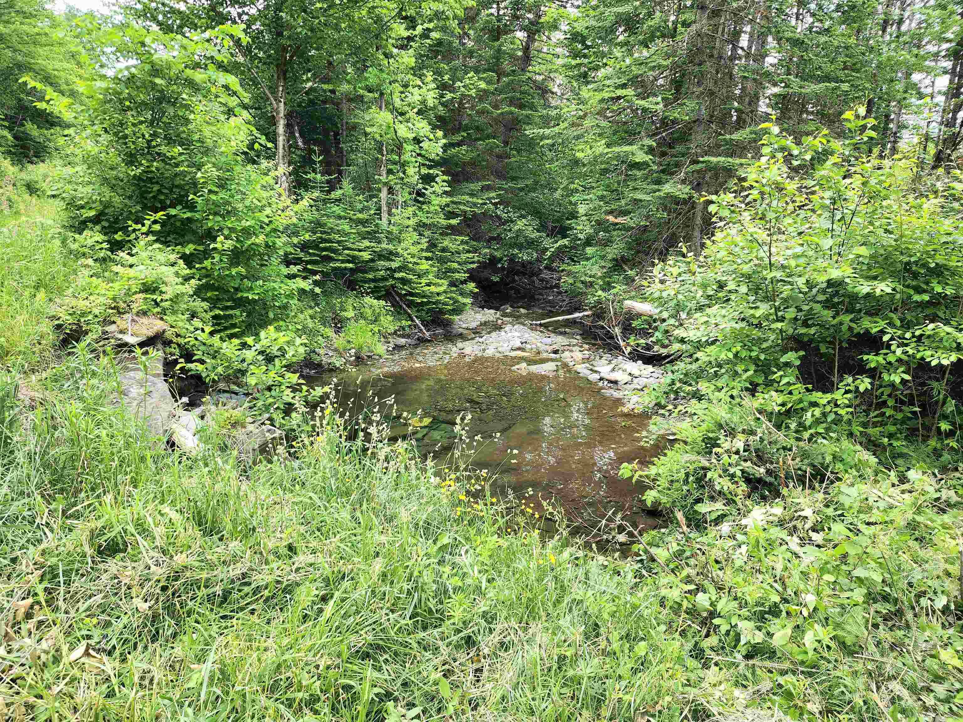 Colebrook, NH 03576,* Diamond Pond RD