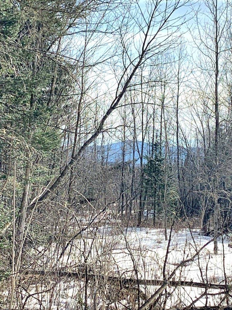 Colebrook, NH 03576,* Diamond Pond RD