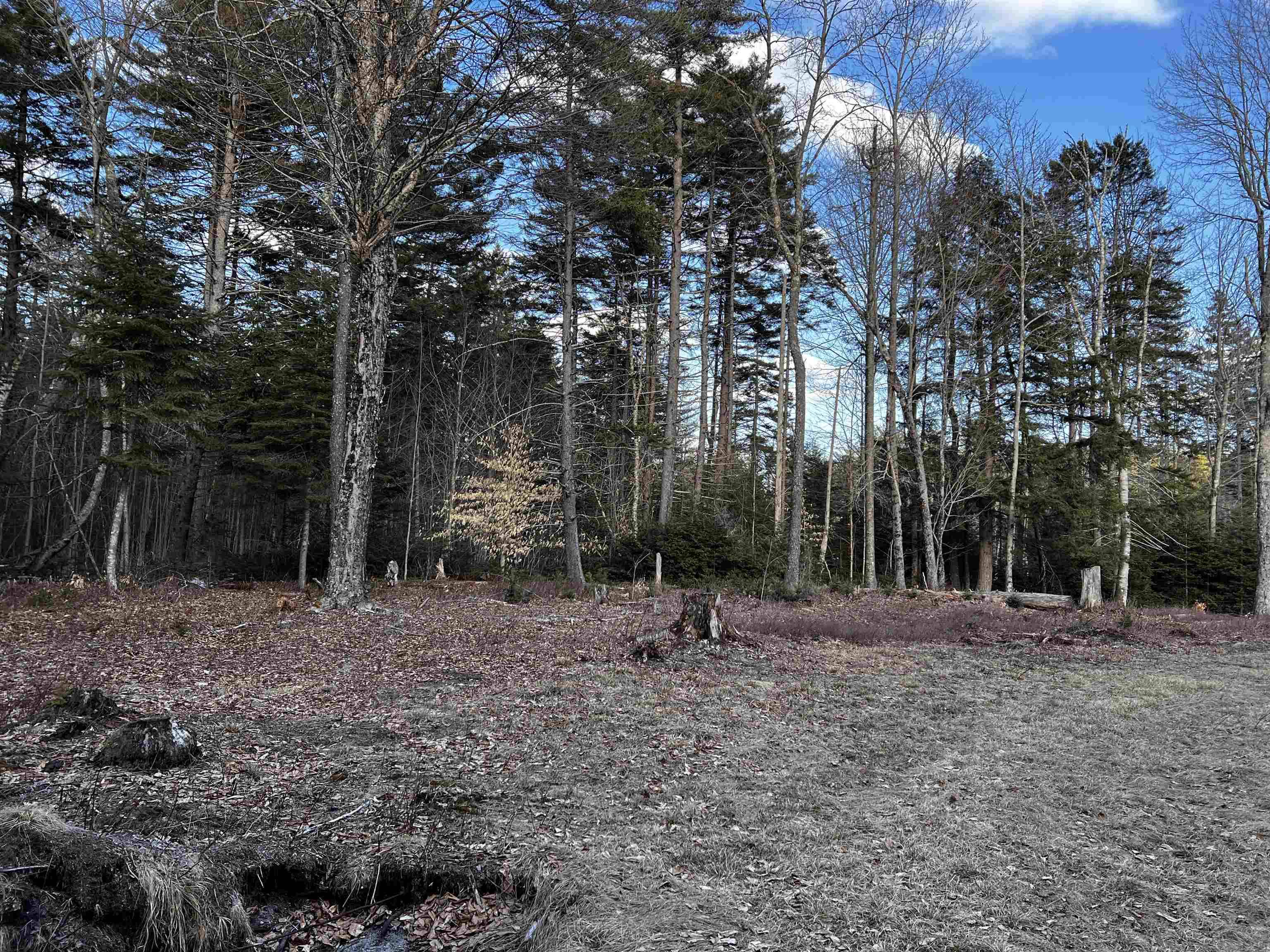 Dorchester, NH 03266,2137 Route 118