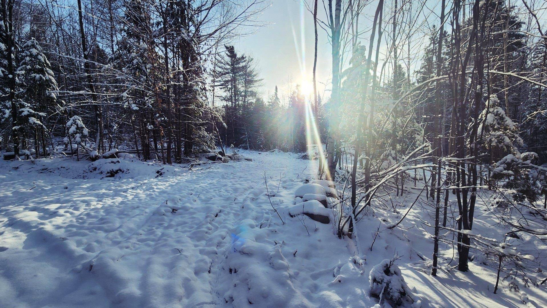 Coventry, VT 05825,0 Pine Hill RD
