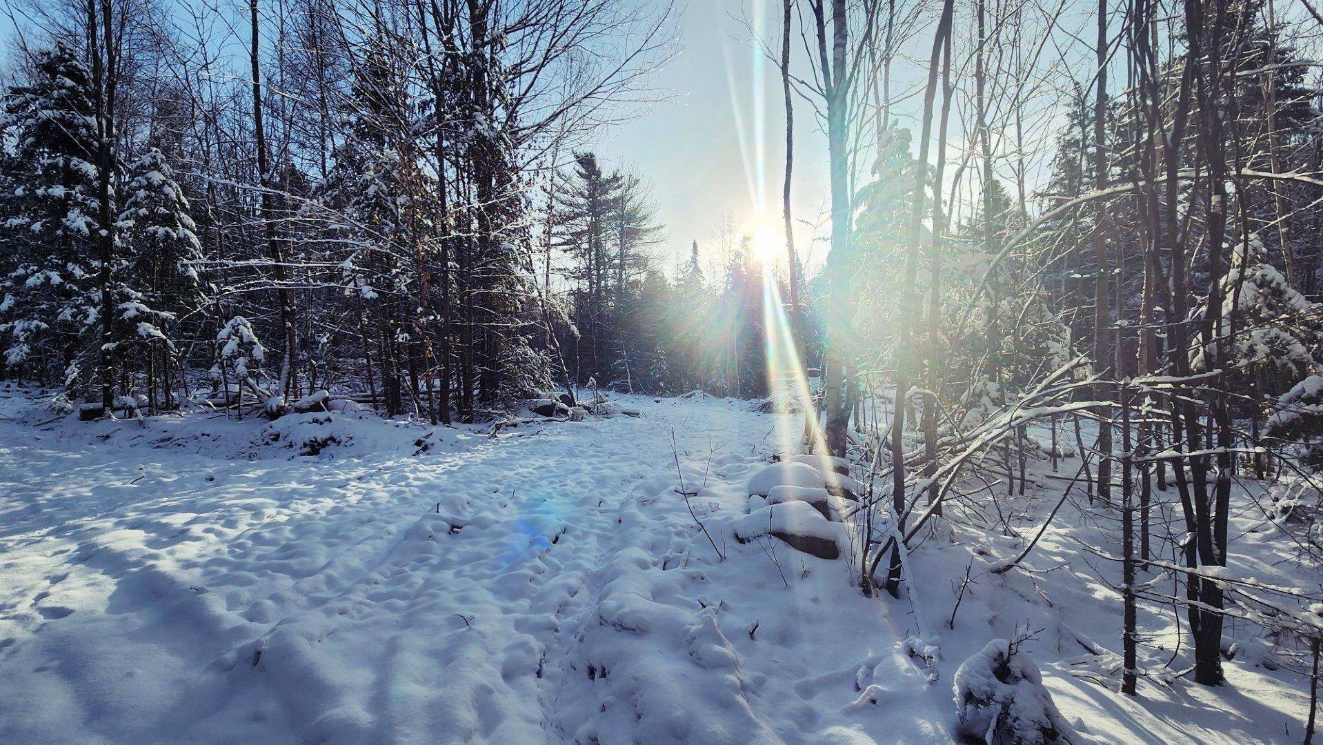 Coventry, VT 05825,0 Pine Hill RD