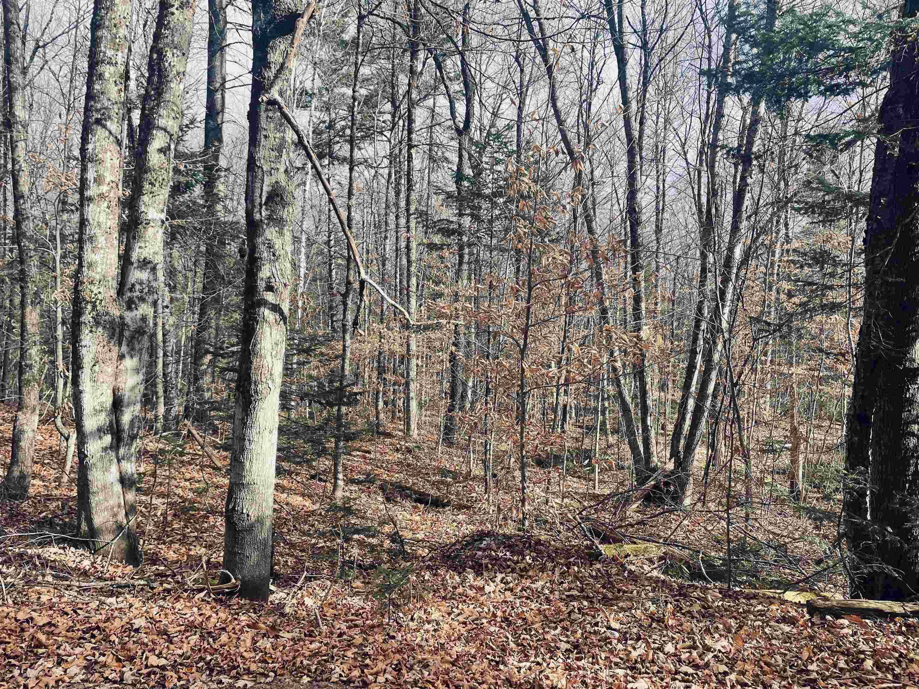 Dorchester, NH 03266,00 NH Route 118