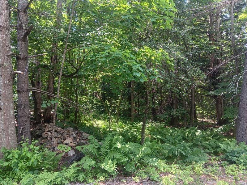 Gilford, NH 03249,3 Oakland AVE