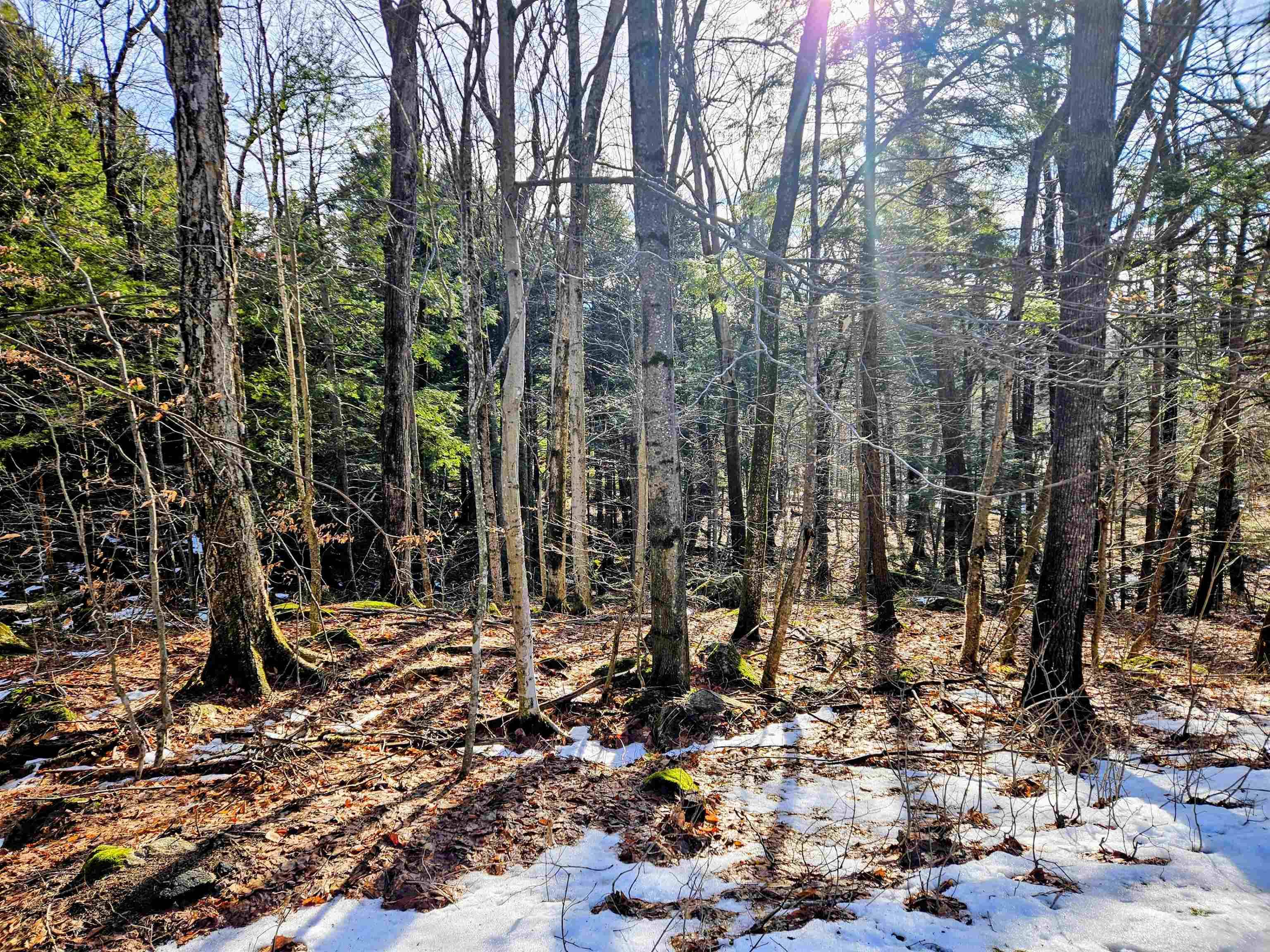 Tuftonboro, NH 03816,48 Valley RD