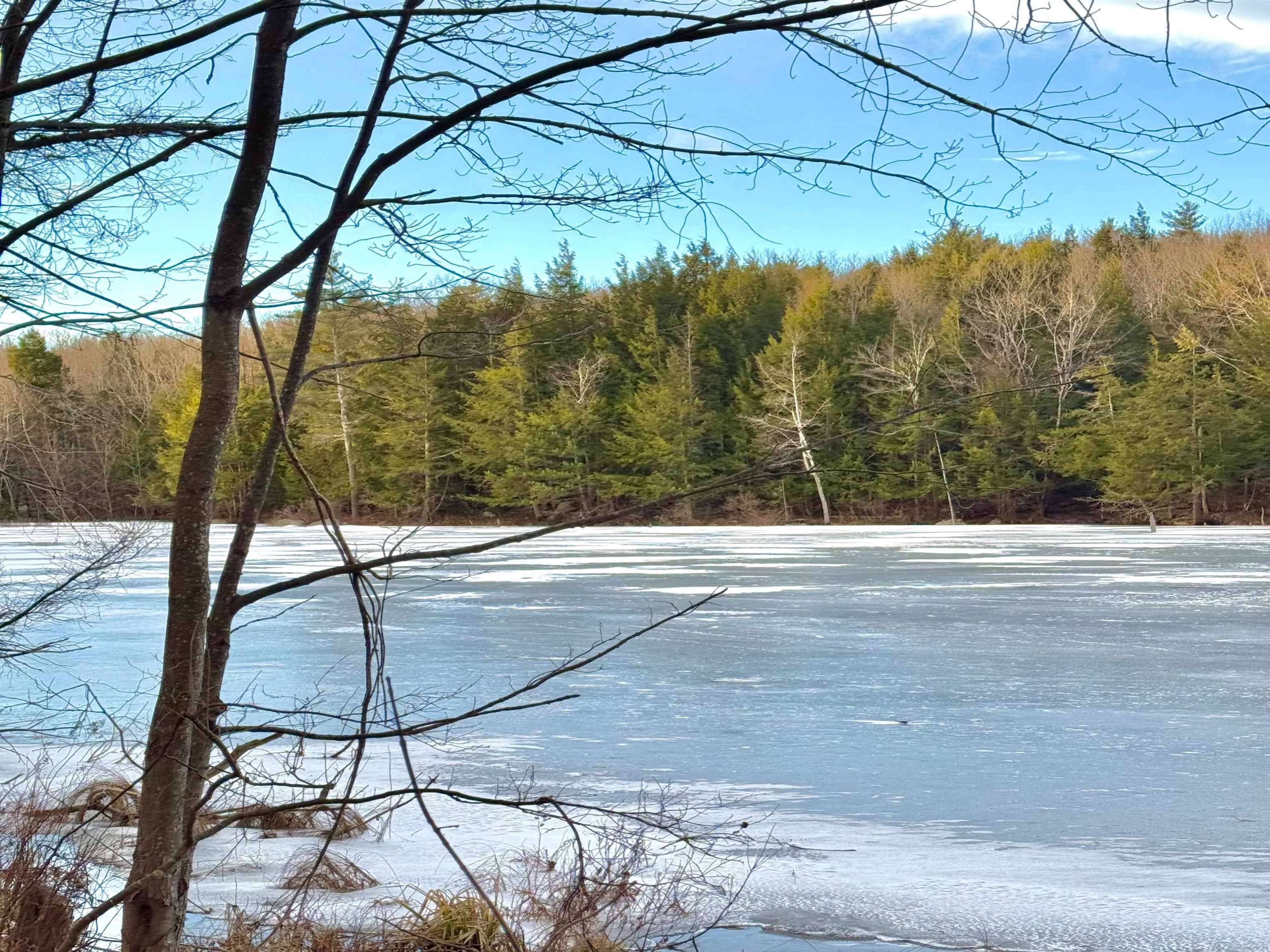 Moultonborough, NH 03254,003 Bean RD
