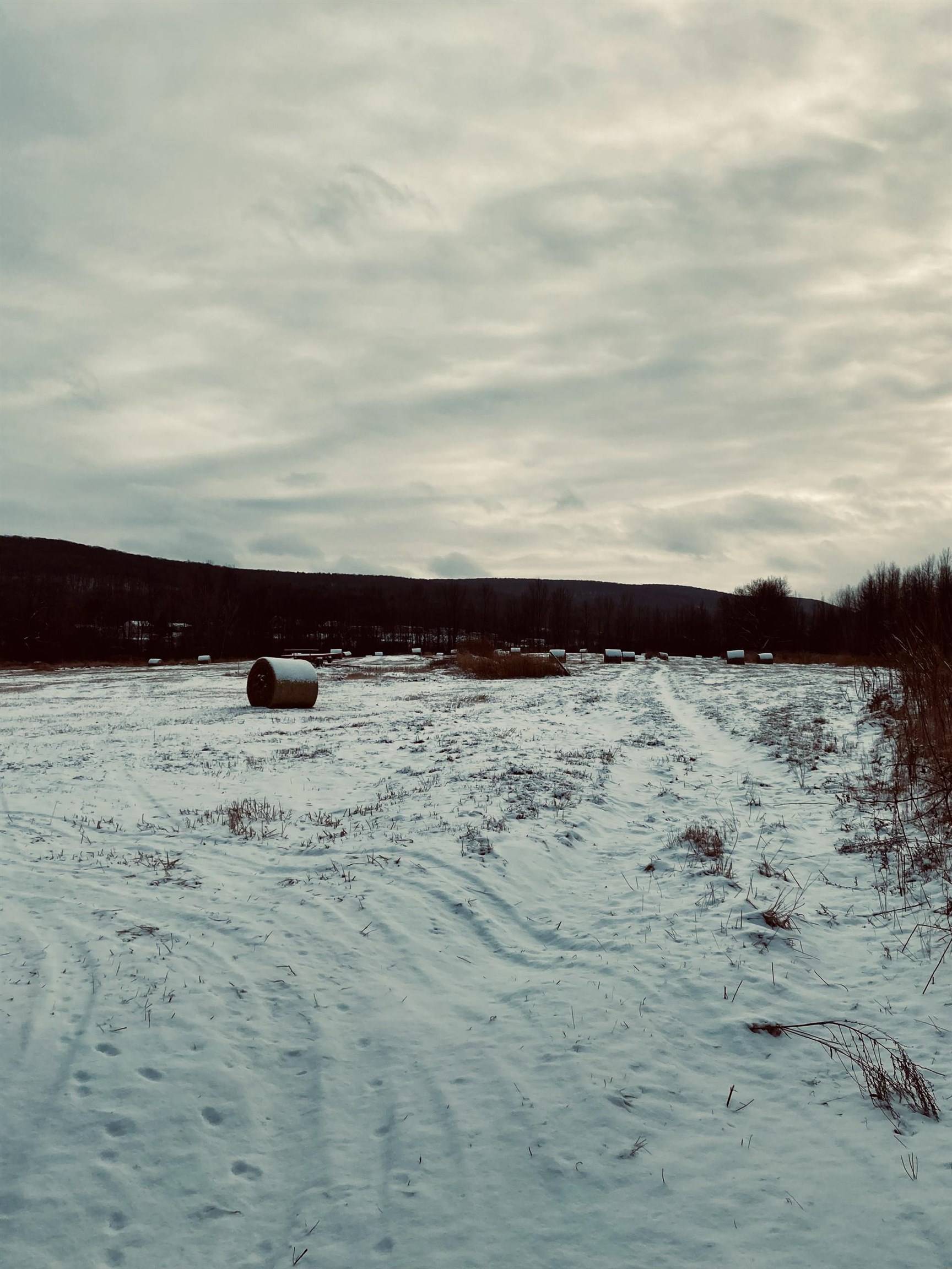 Swanton, VT 05488,5 Lot Subdivision off Viens RD #2-6