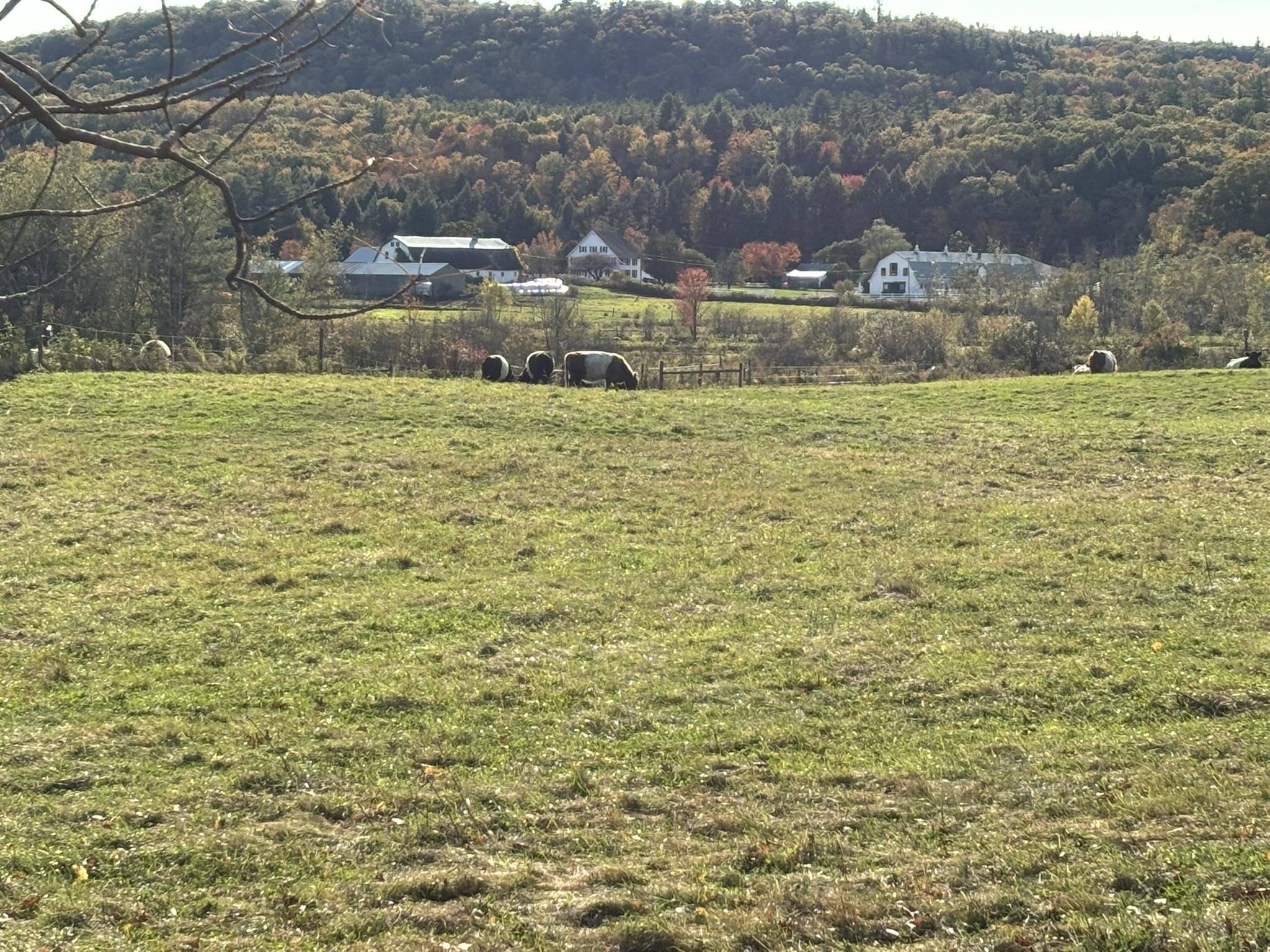 Hancock, NH 03449,00 Middle RD