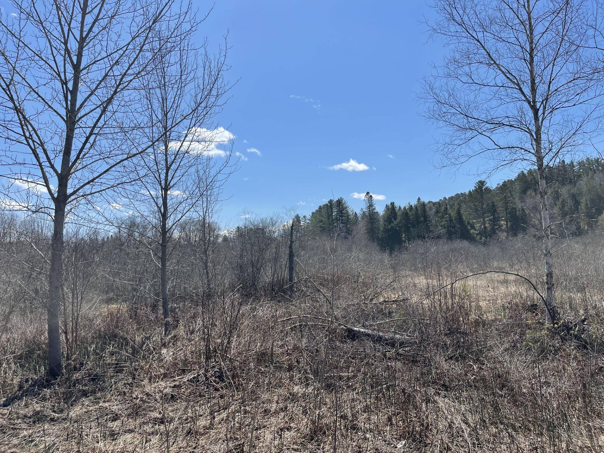 Lyndon, VT 05851,00 Gilman RD
