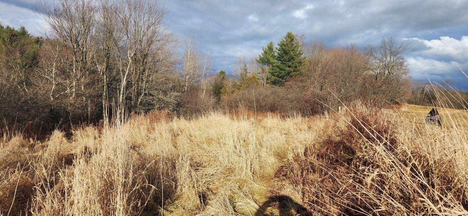 Fairfield, VT 05455,2051 Sheldon Woods RD
