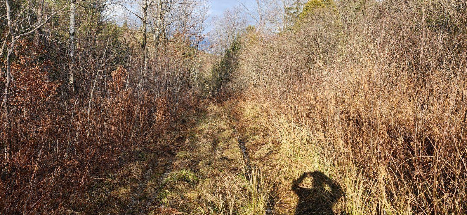 Fairfield, VT 05455,2051 Sheldon Woods RD