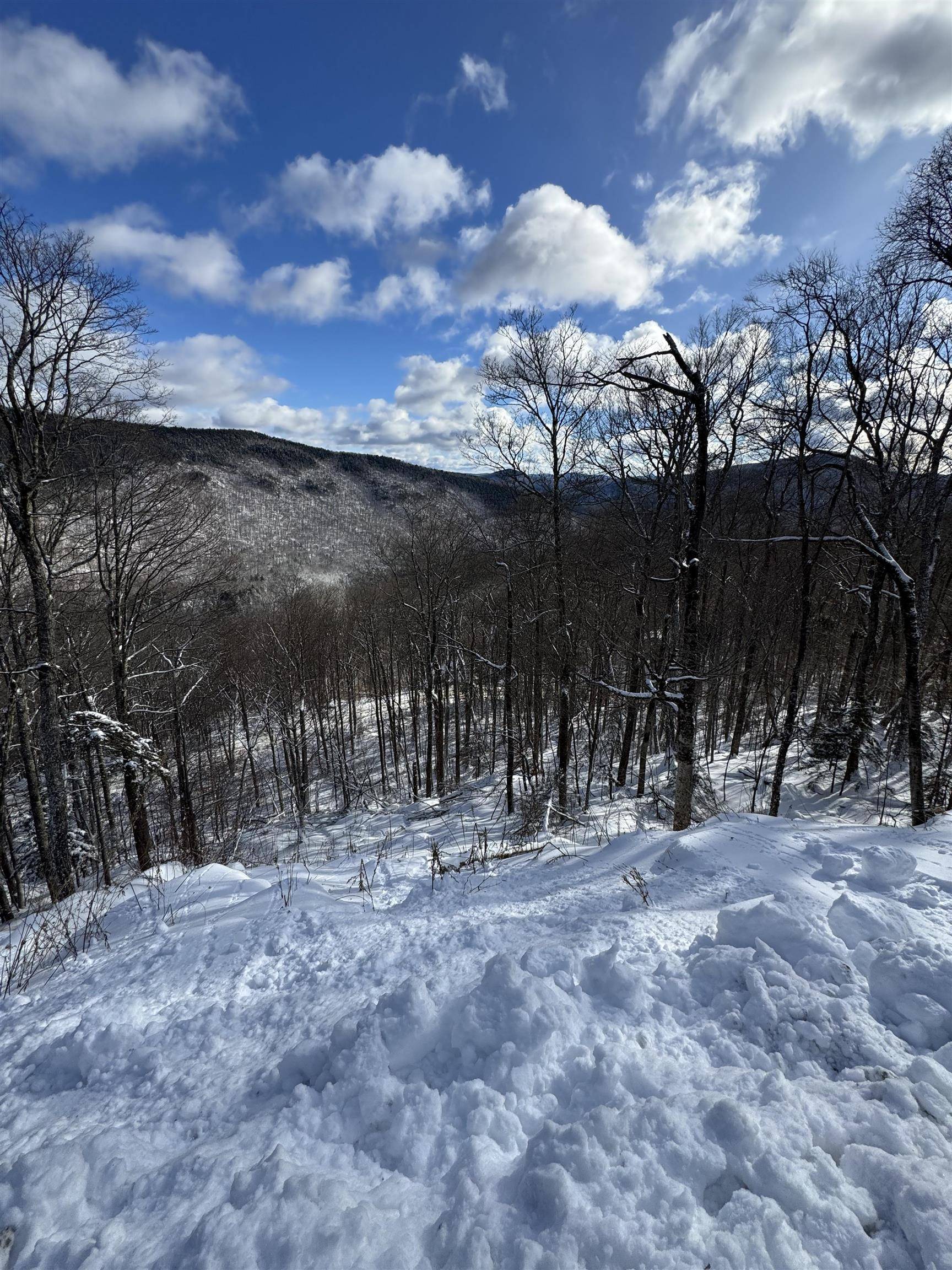 Killington, VT 05751,R-5 Ledge End RD #95