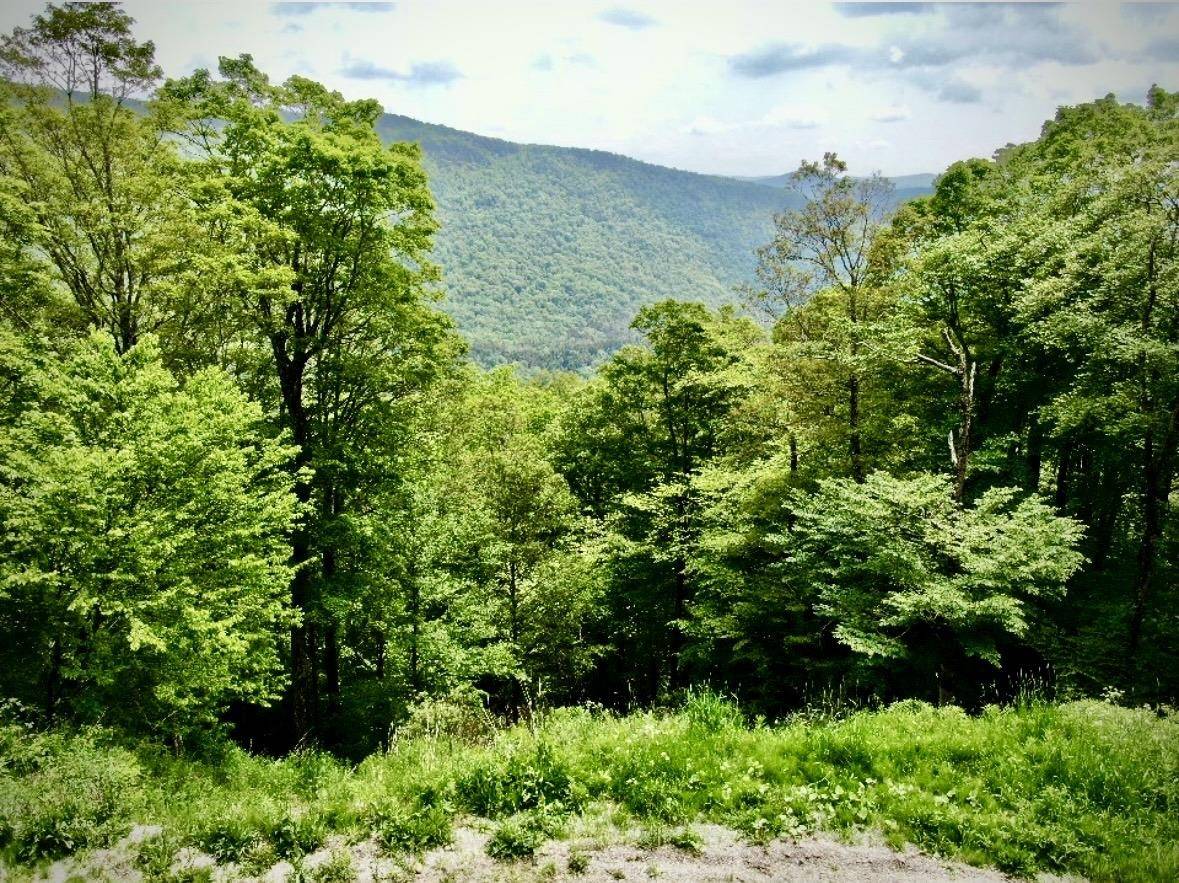 Killington, VT 05751,R-5 Ledge End RD #95