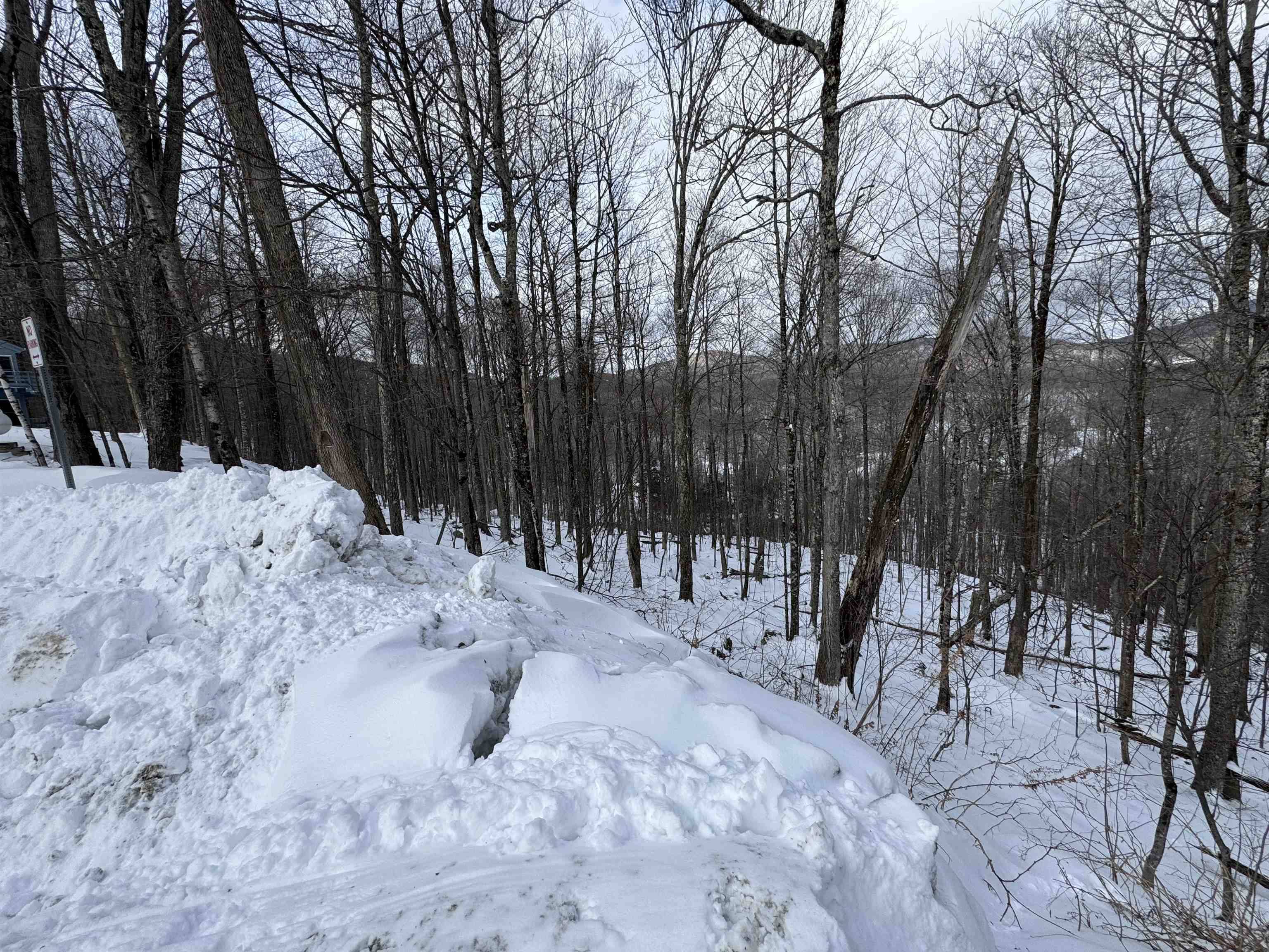 Killington, VT 05751,LOT 12 Barrows Towne RD