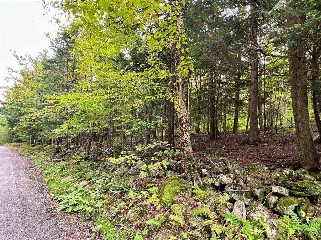 Bradford, VT 05033,0 Kidder RD