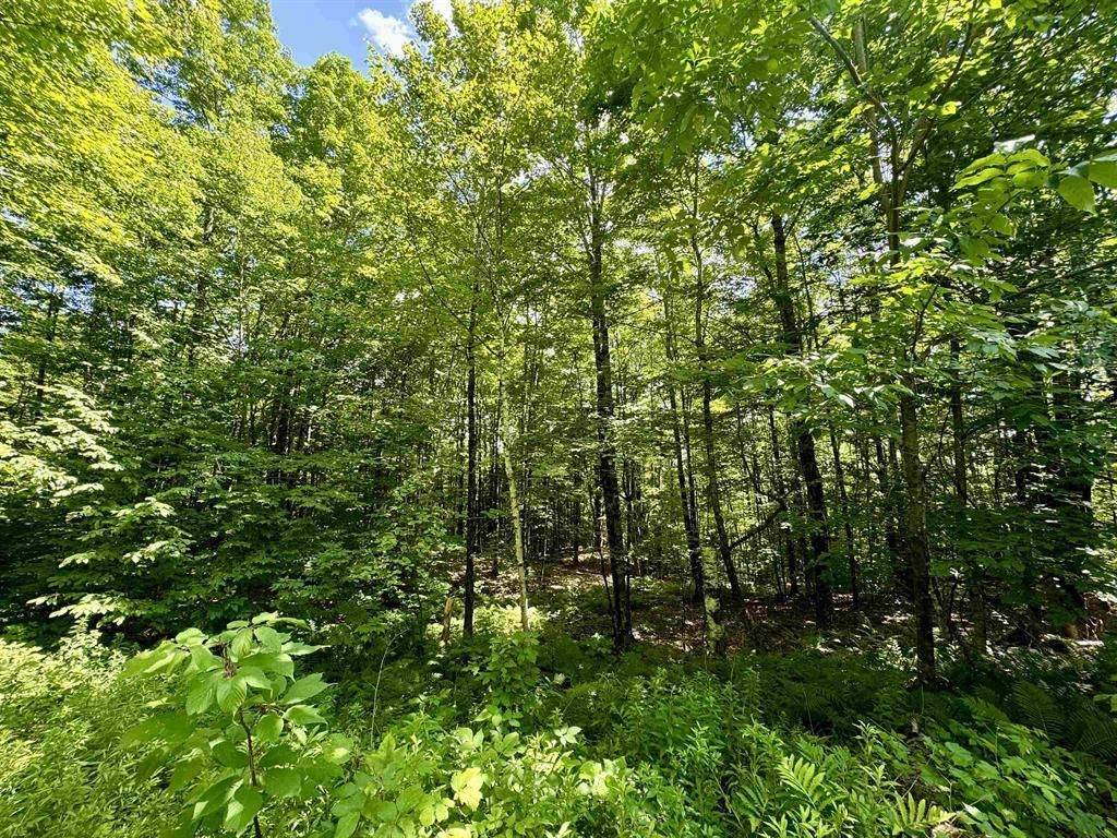 Topsham, VT 05076,0 Crosby RD