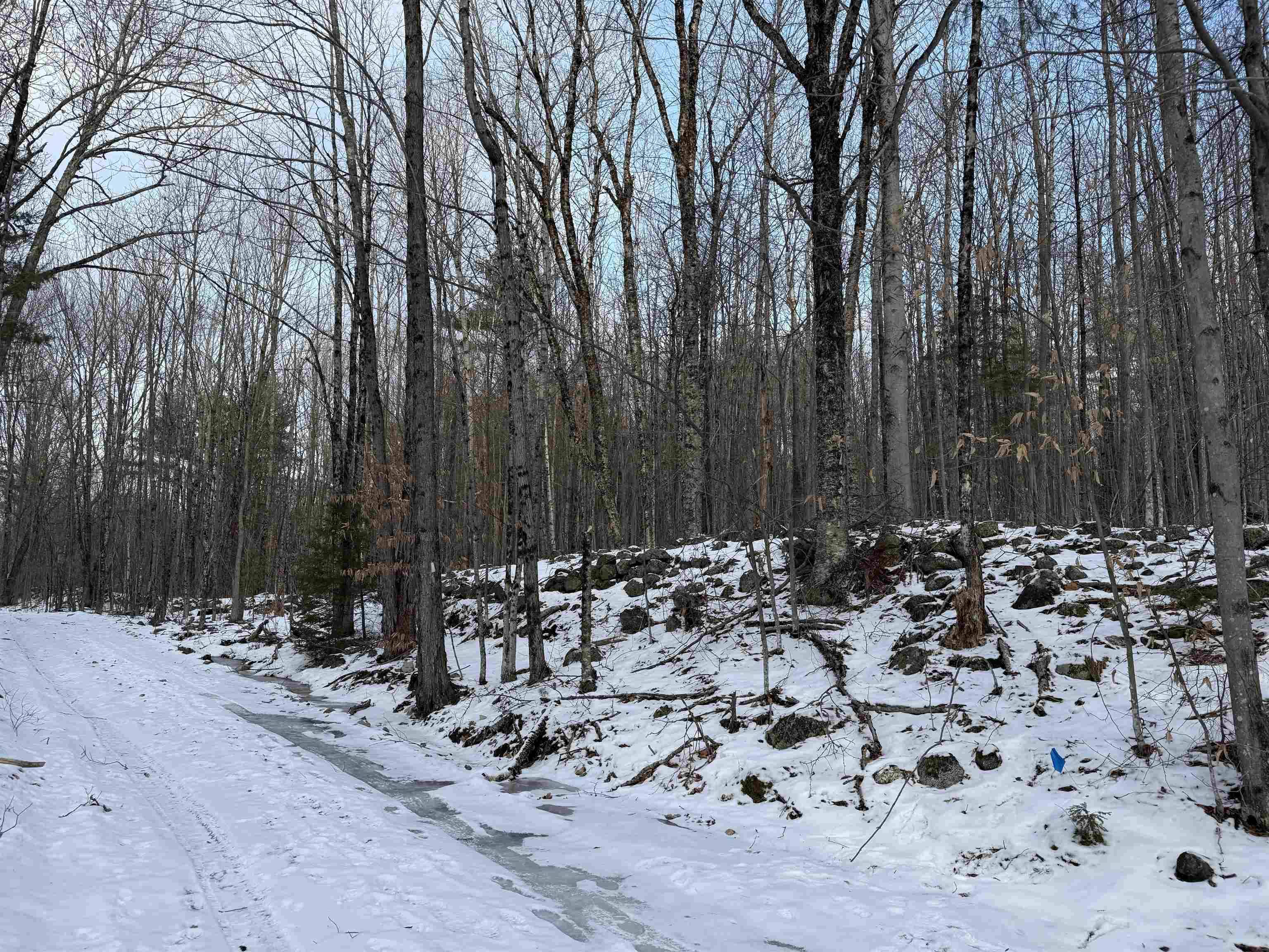 Andover, NH 03216,00 Dawes RD