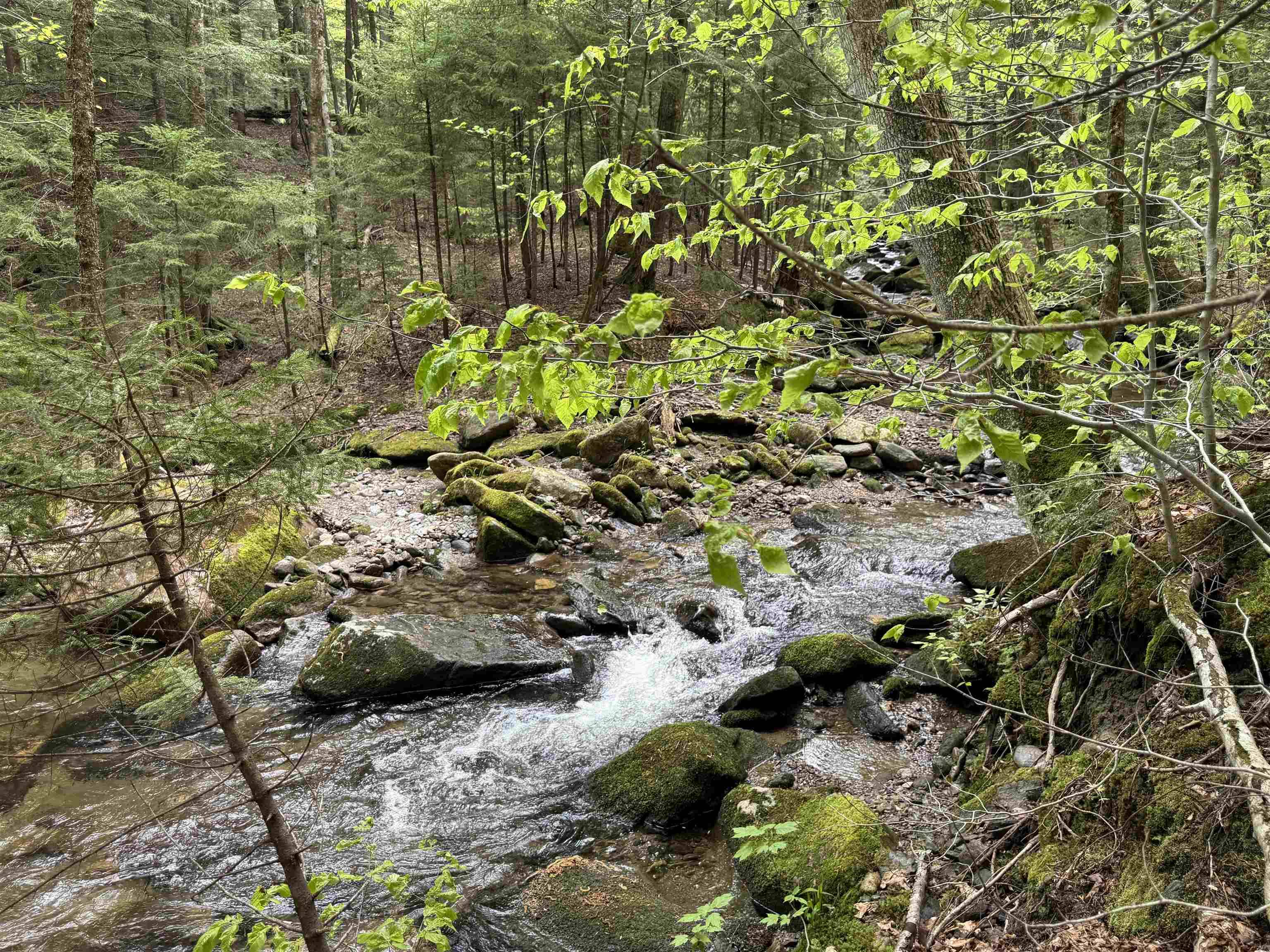 Wilmington, VT 05363,Lot 4 Old Mill XING