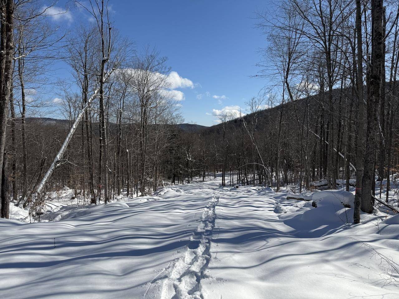 Plymouth, VT 05056,S-1d Great Roaring Brook RD #S-1d