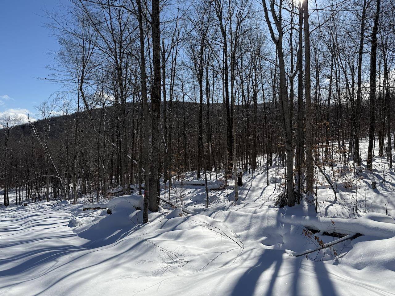 Plymouth, VT 05056,S-1e Great Roaring Brook RD #S-1e