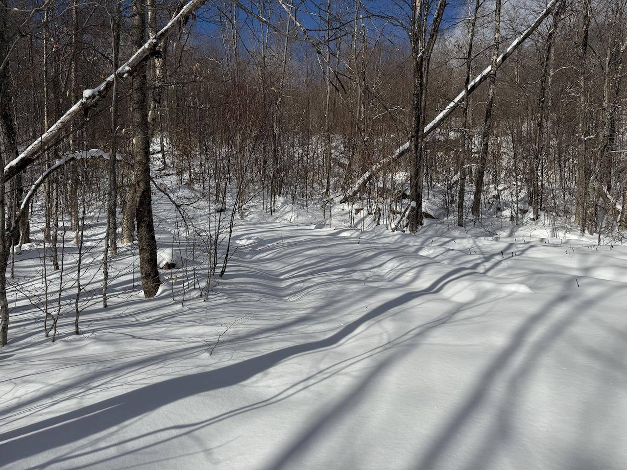 Plymouth, VT 05056,S-1e Great Roaring Brook RD #S-1e