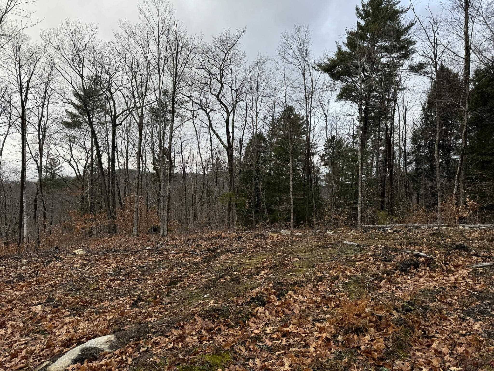 Cavendish, VT 05142,263 High Ridge RD #Lot 71 and Lot 72