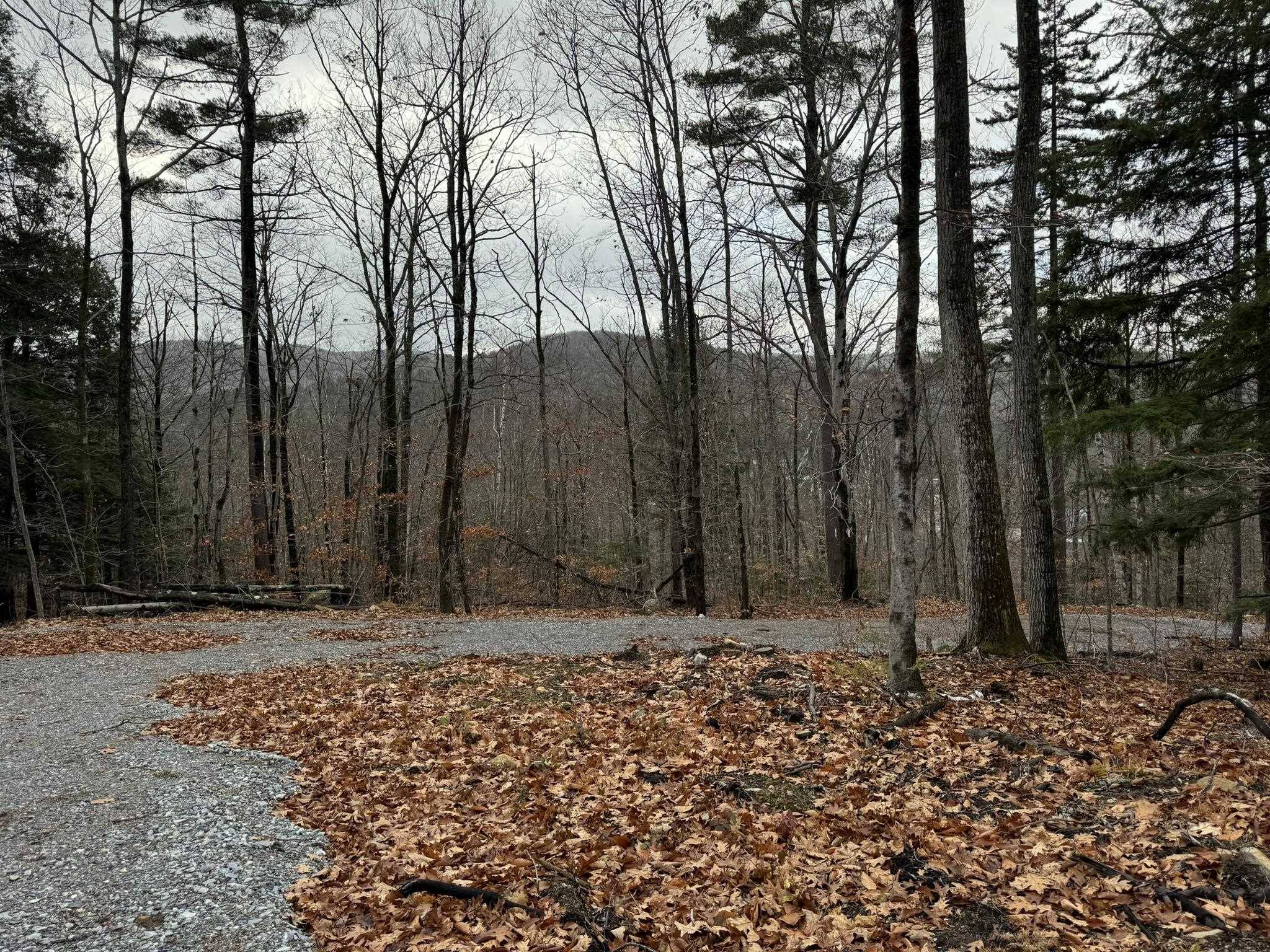 Cavendish, VT 05142,263 High Ridge RD #Lot 71 and Lot 72