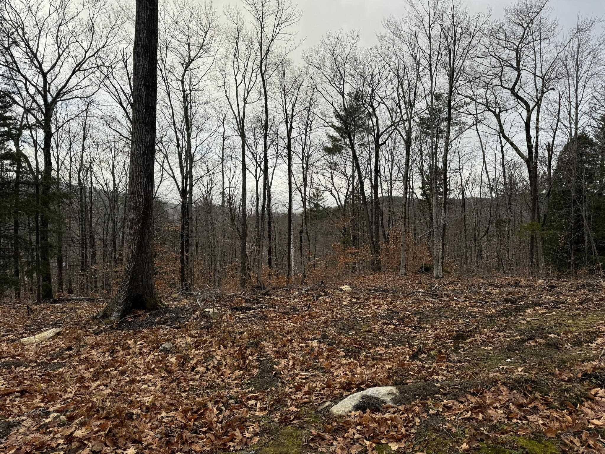 Cavendish, VT 05142,263 High Ridge RD #Lot 71 and Lot 72