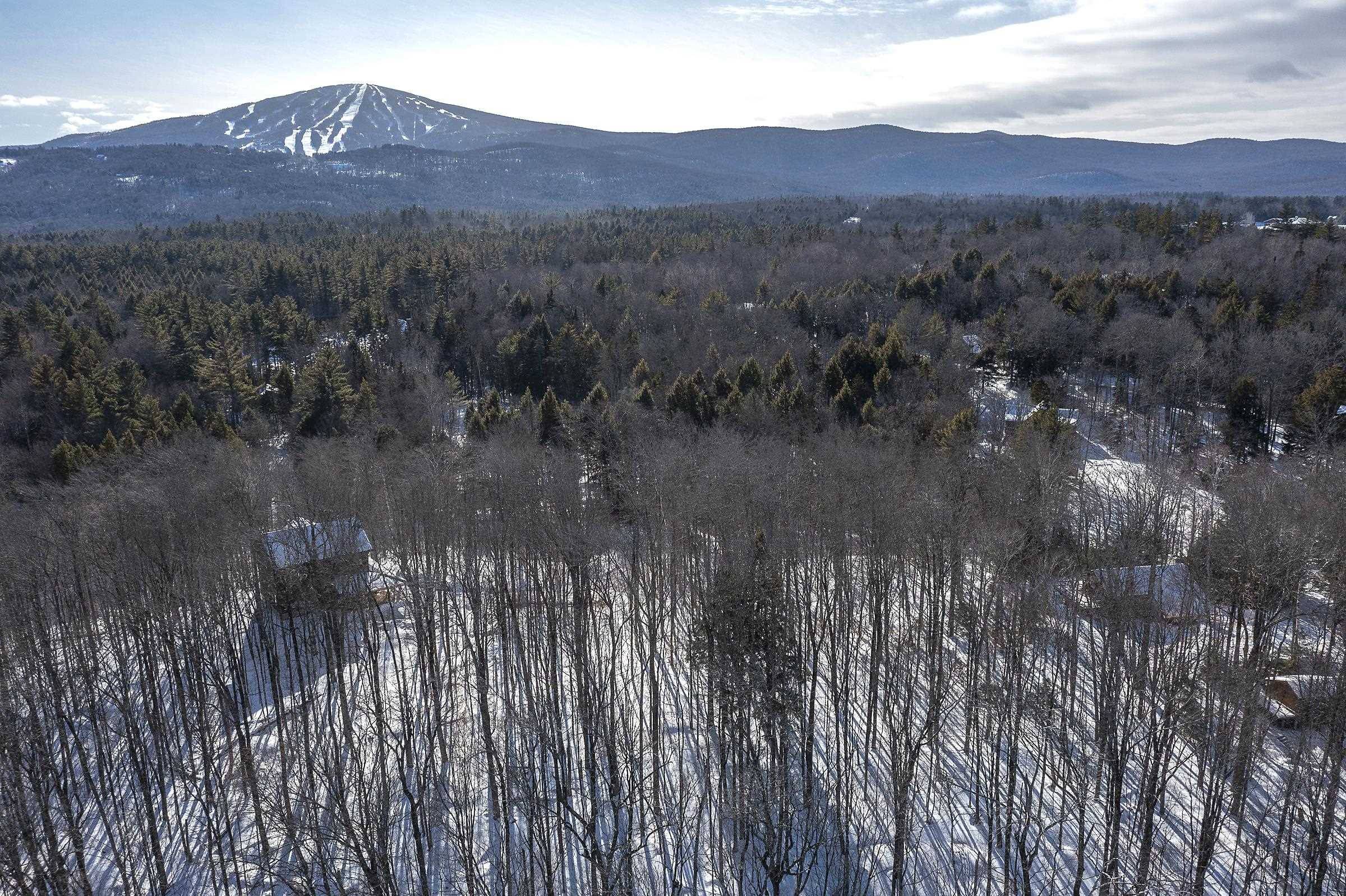 Winhall, VT 05340,10 Little Brook RD